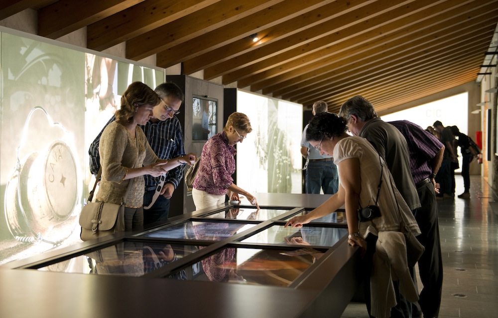 Nuevo Informe de Visitas a Bodegas y Museos de Rutas del Vino de España