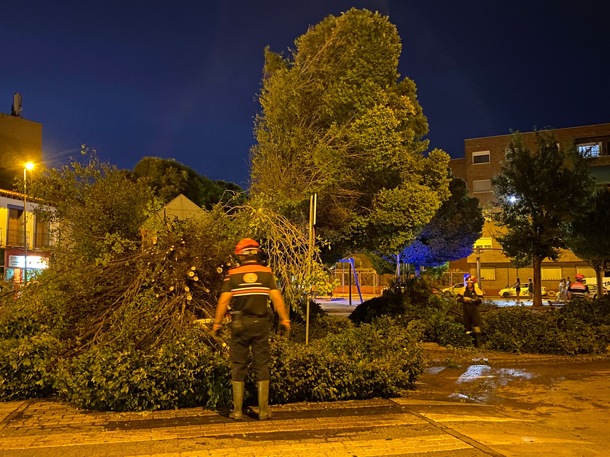 La tormenta de granizo, lluvia y viento deja en Alcázar árboles y ramas caídas y balsas de agua en la calzada