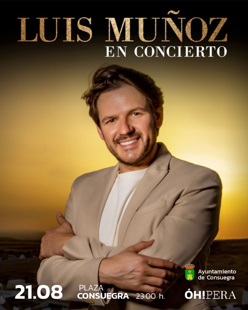 Luis Muñoz en concierto