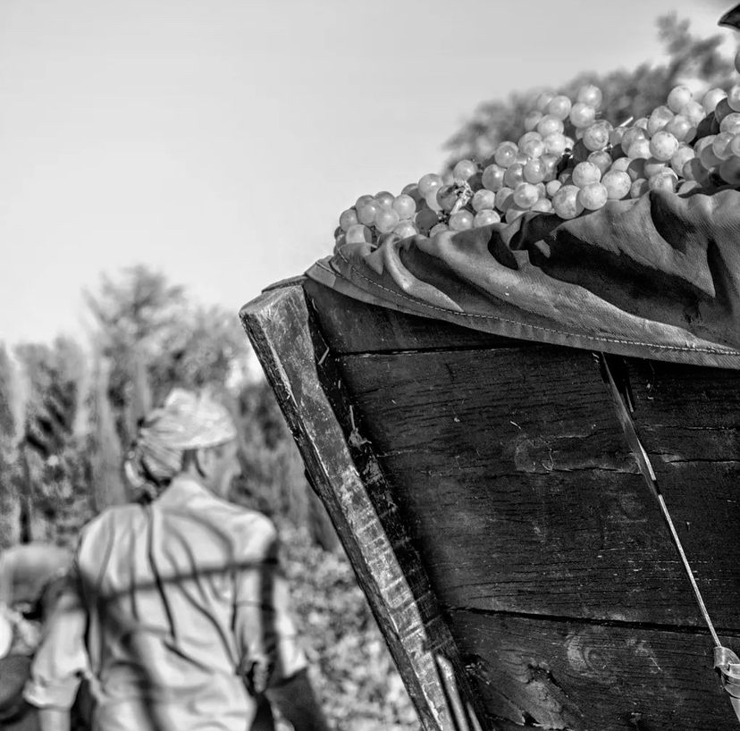 Jiménez entrega los premios del concurso de fotografías en Instagram “Mi rincón favorito de Tomelloso”