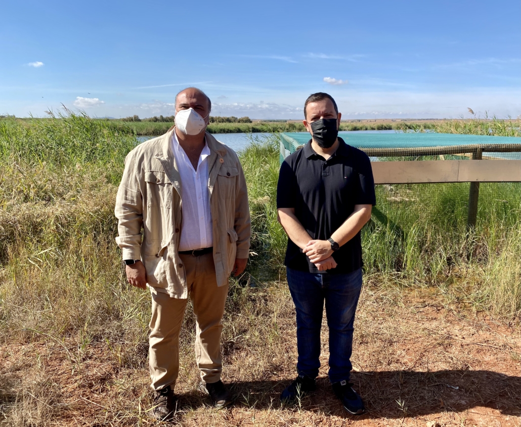 Nueva suelta de 20 ejemplares de cerceta pardilla en el Complejo Lagunar