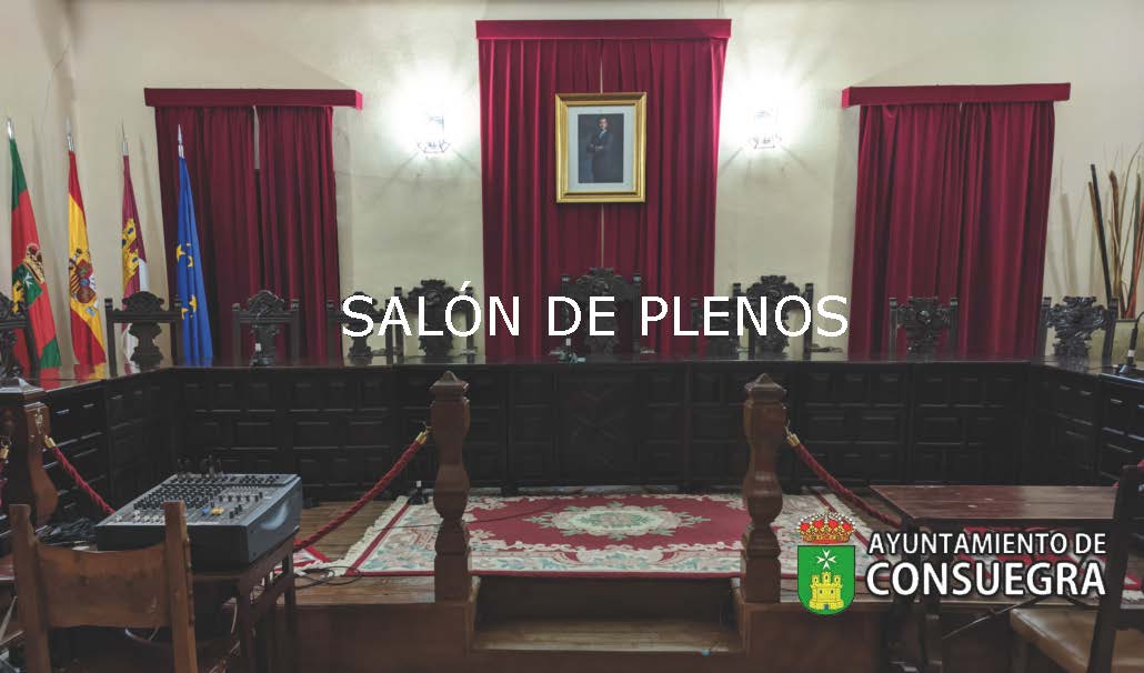 Convocado Pleno Ordinario viernes 4 de marzo
