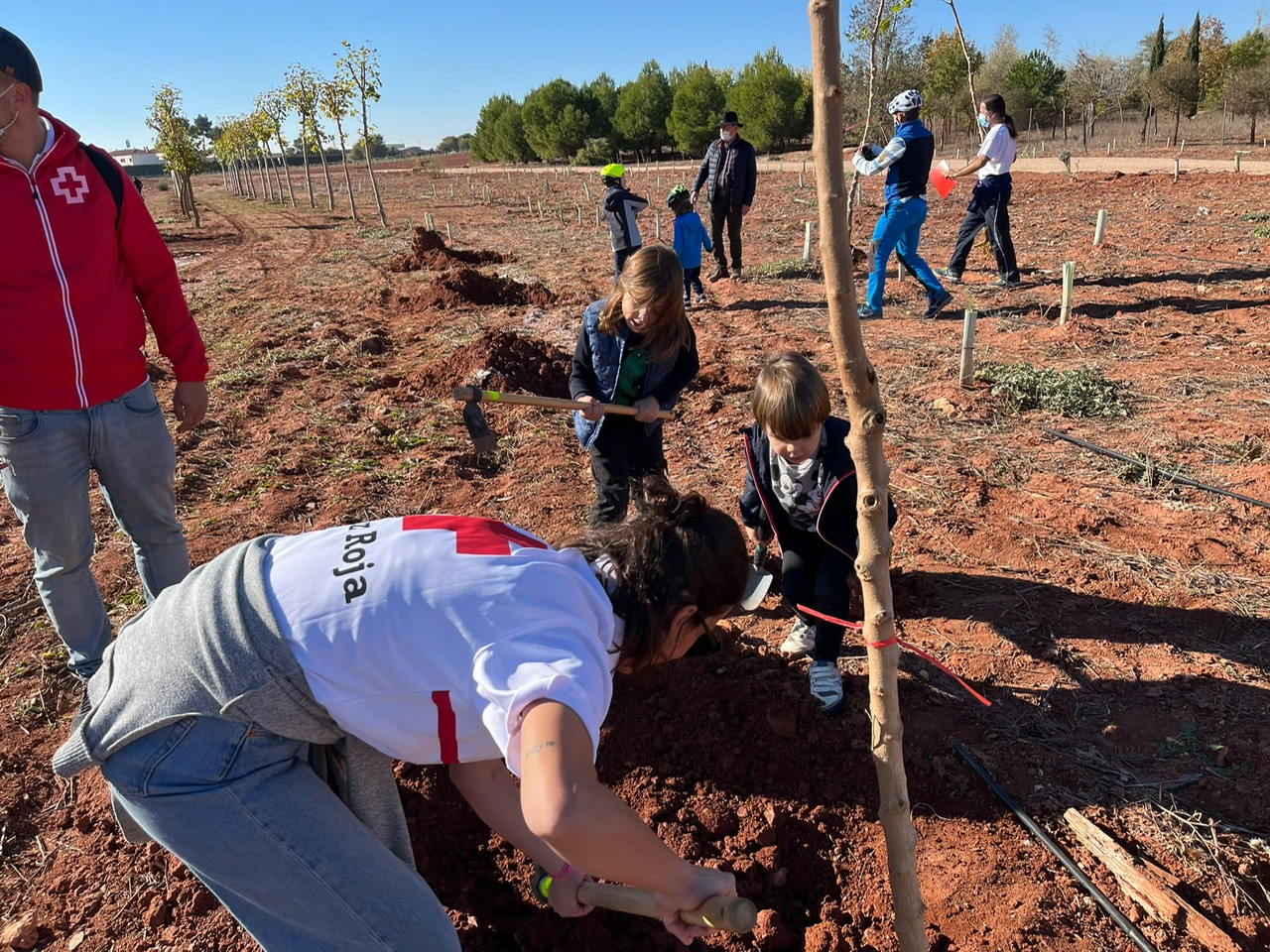 Más de 300 personas plantaron árboles y arbustos en el Bosque de la vida
