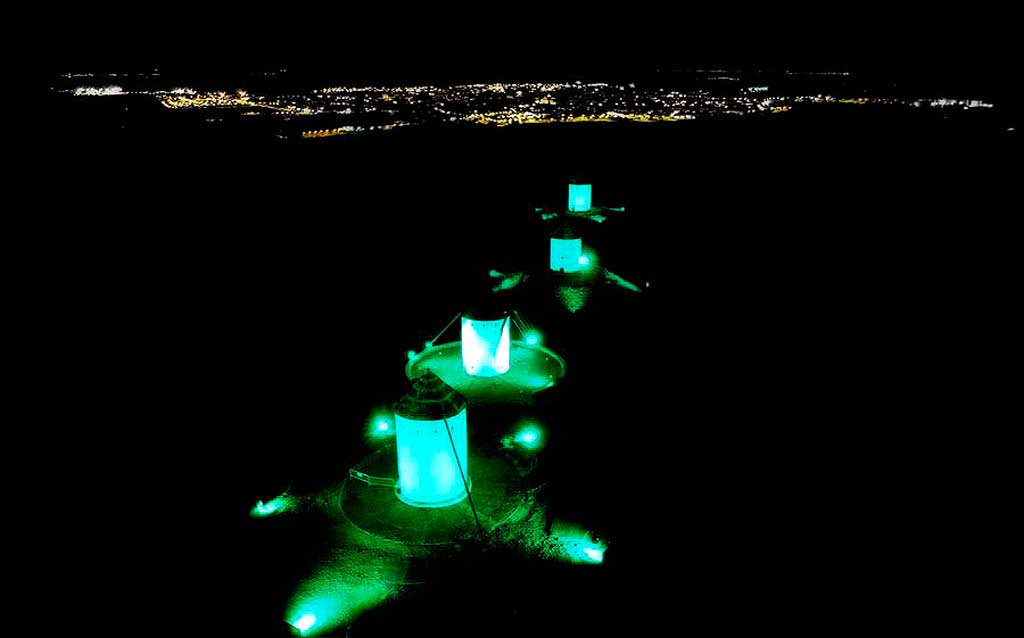 Iluminación verde esmeralda por el Día de la concienciación del Perthes