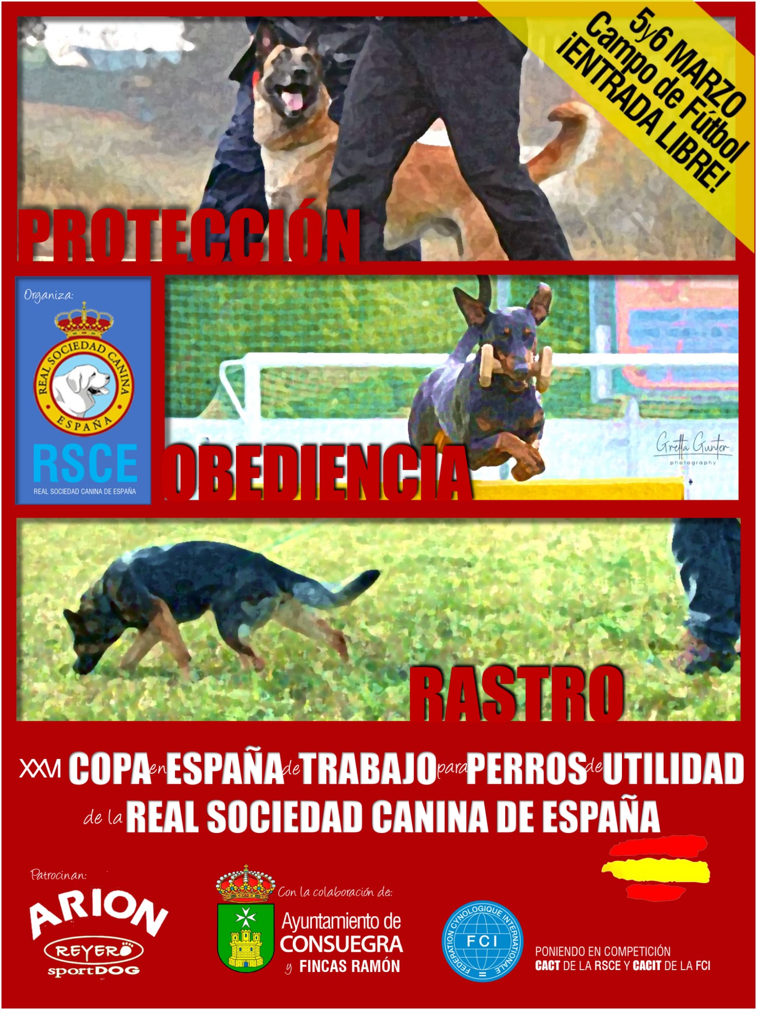 Consuegra, sede de la XXVI Copa de trabajo para perros de utilidad de la RSCE