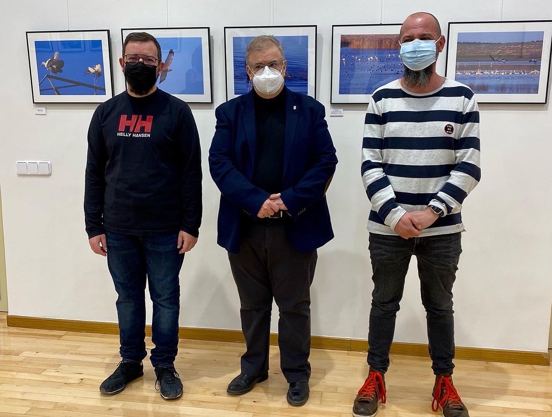 Ricardo Beléndez expone en la Sala Luisa Alberca ¡Al agua…pájaros!, una exposición de fotografía ornitológica con nueve instantáneas del Complejo Lagunar de Alcázar