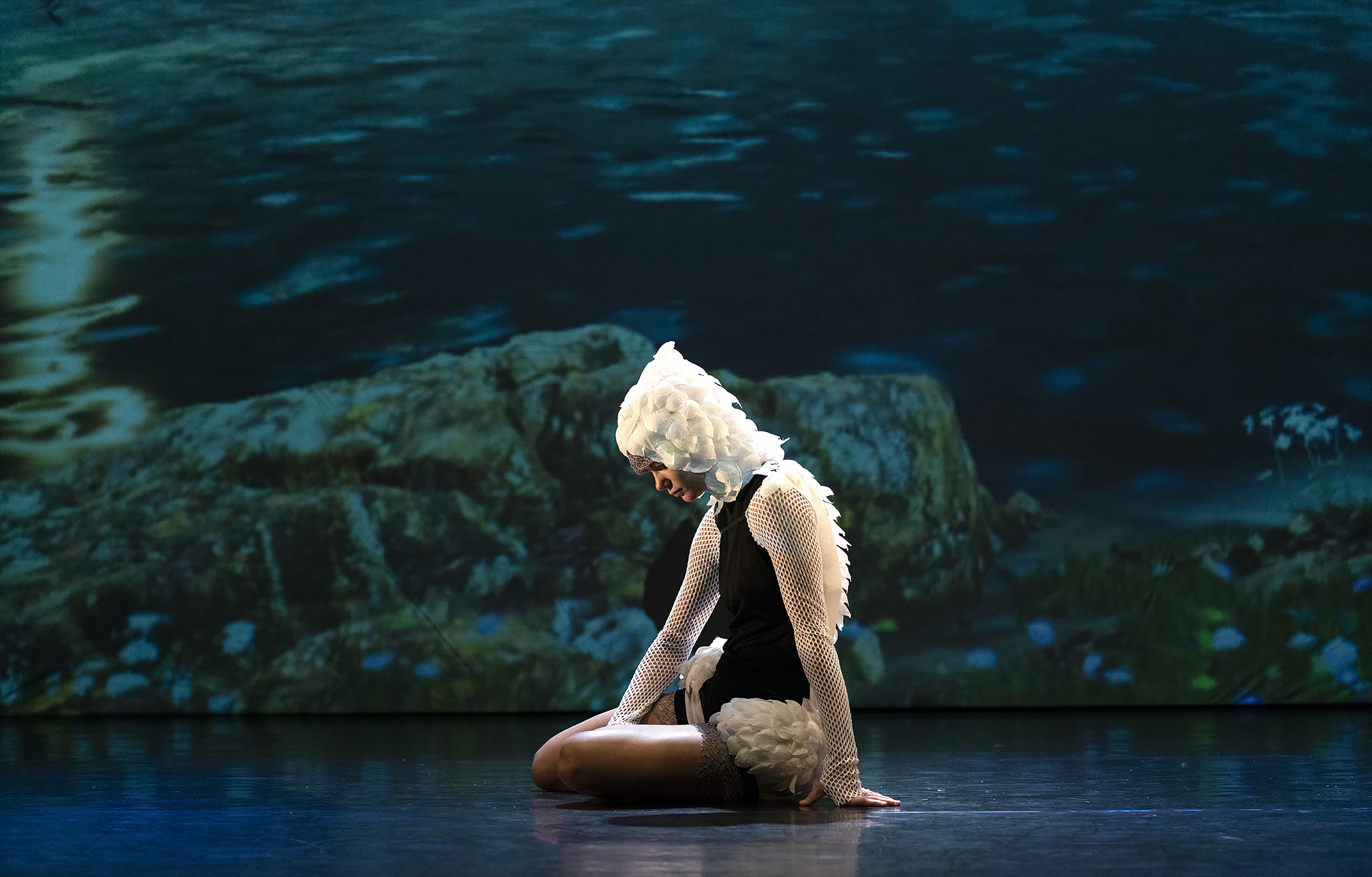 «El Lago de los Cisnes 3D” original versión que fusiona  ballet clásico, danza contemporánea y realidad virtual