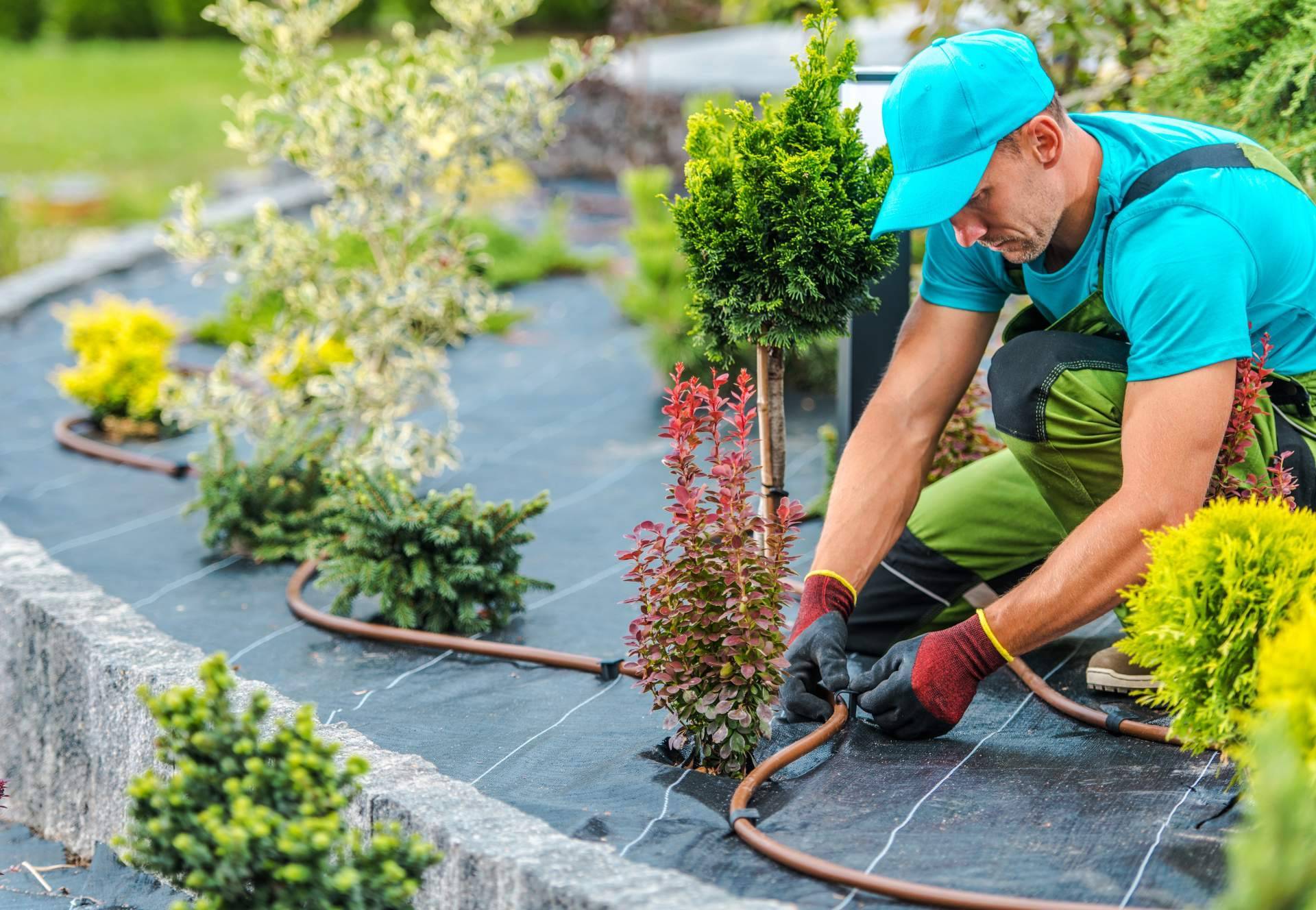 Encontrar artículos imprescindibles de jardinería en Suministros Tomás Beltrán