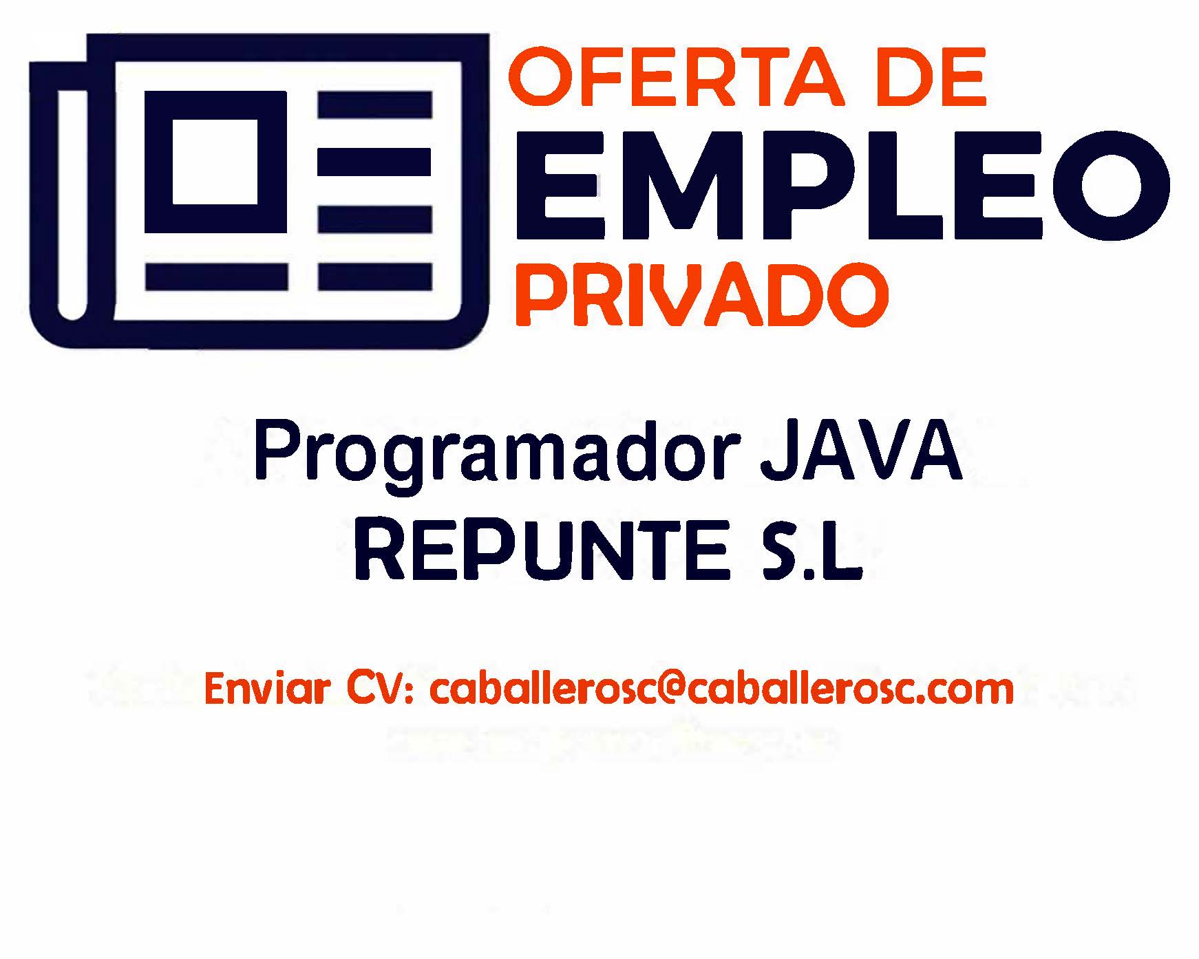 Oferta de empleo privado: Programador Repunte S.L