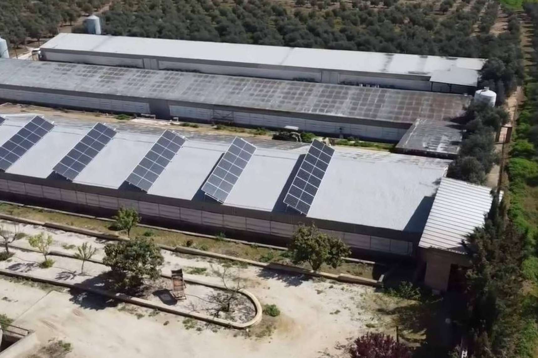 Energía de autoconsumo en empresas y sus beneficios de la mano de TodoAgrícola