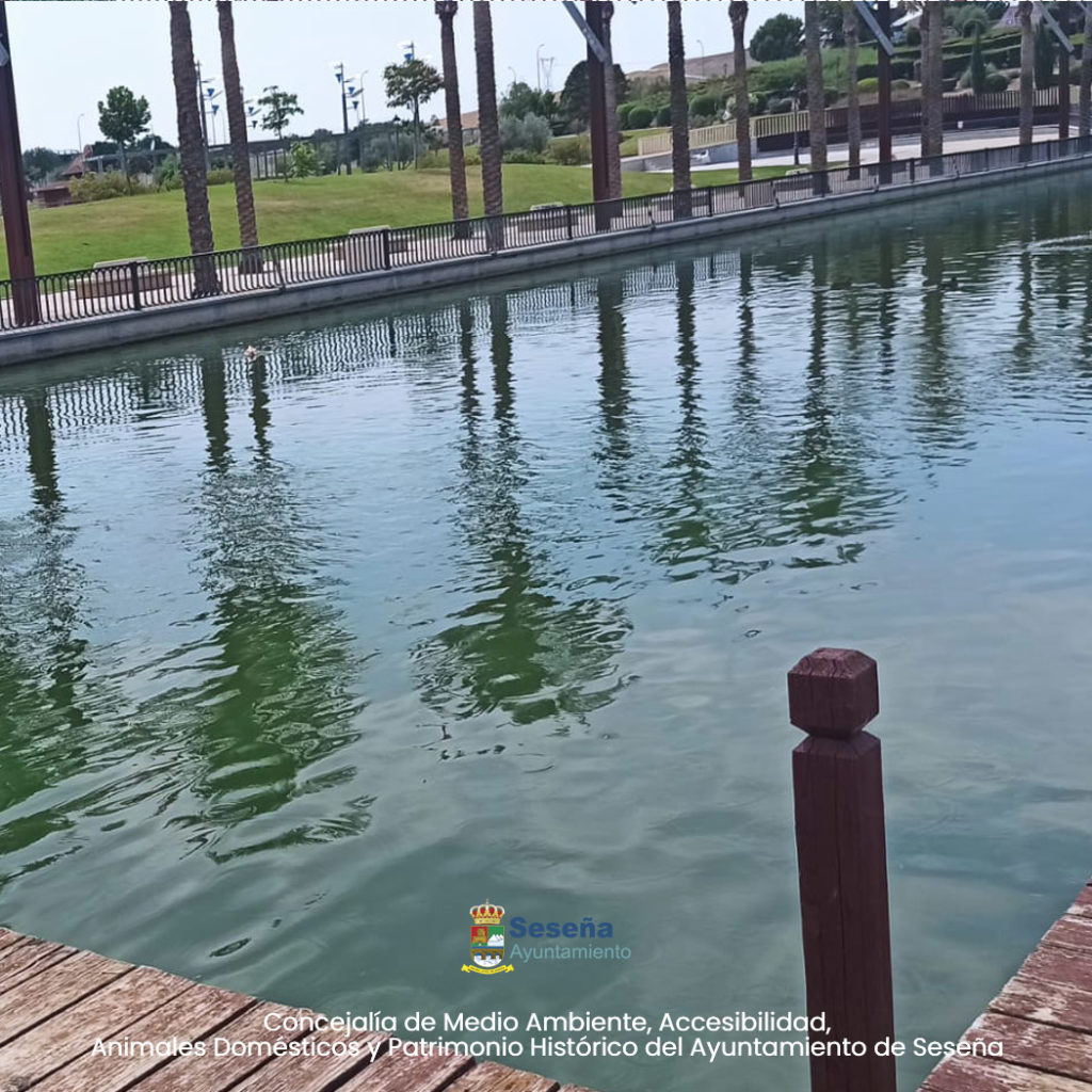 INFORMACIÓN SOBRE EL LAGO DEL PARQUE MARÍA AUDENA – Ayuntamiento de Seseña