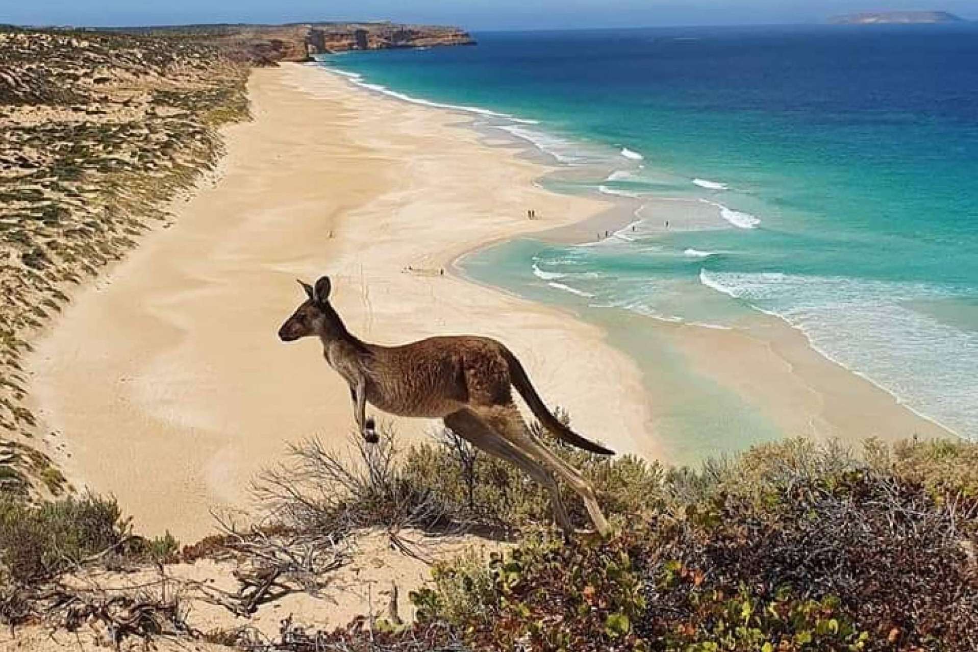 Australia Study España expone todo lo necesario para estudiar en Australia
