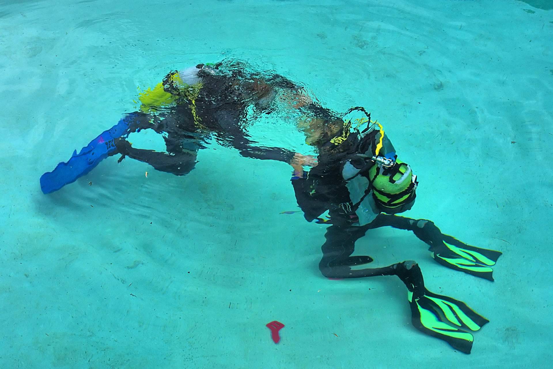 ¿Cuáles son los mejores cursos de buceo en España?, por Diveasapp