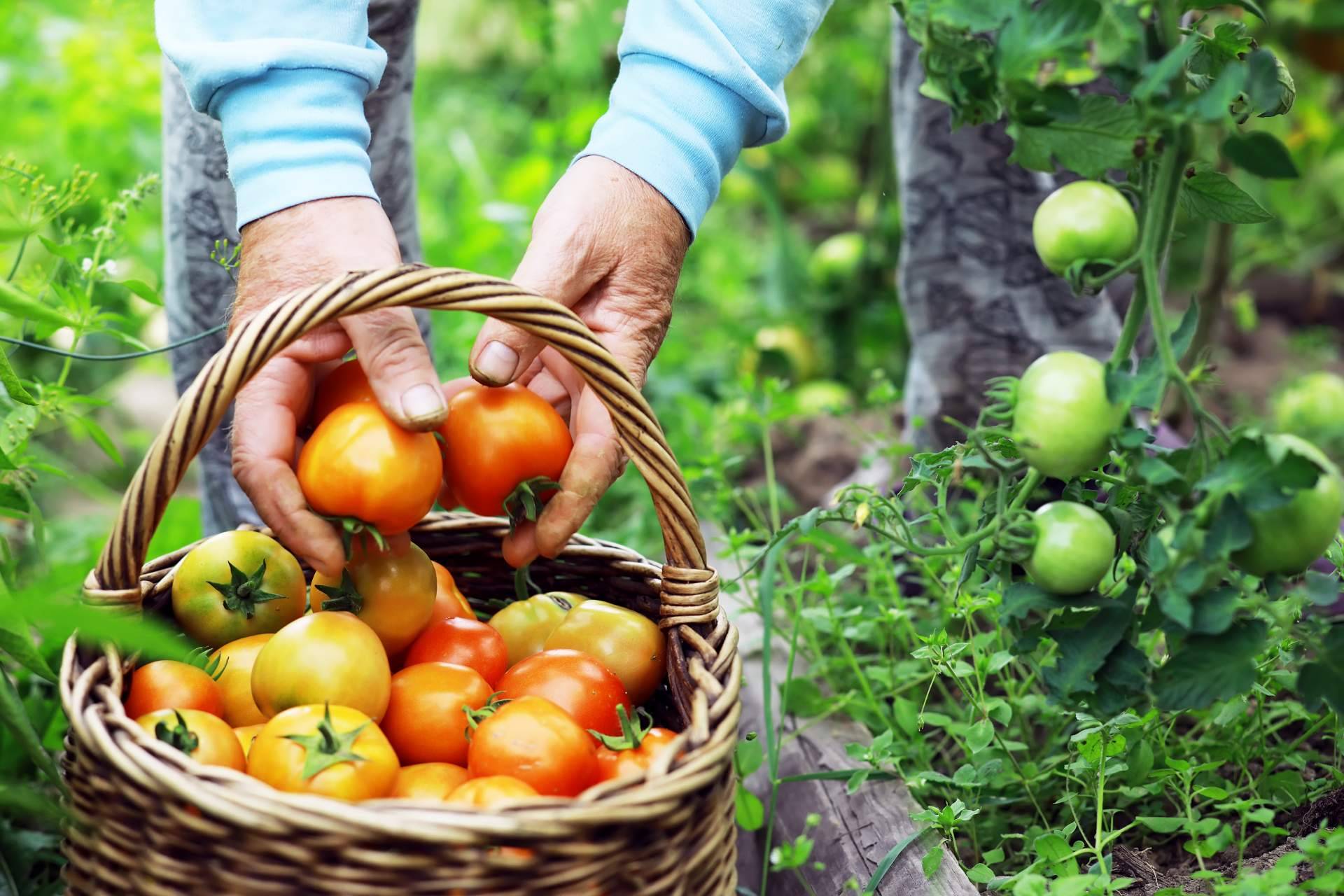 AYDOAGUA y los productos para la agricultura ecológica