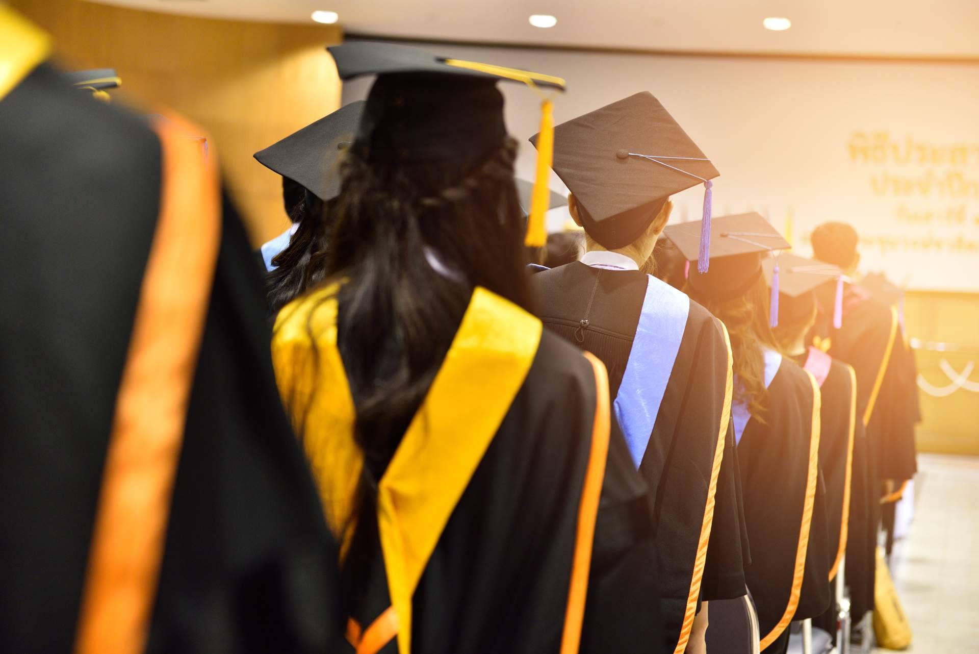 LT Distribuidora ofrece bandas de graduación a precios excelentes