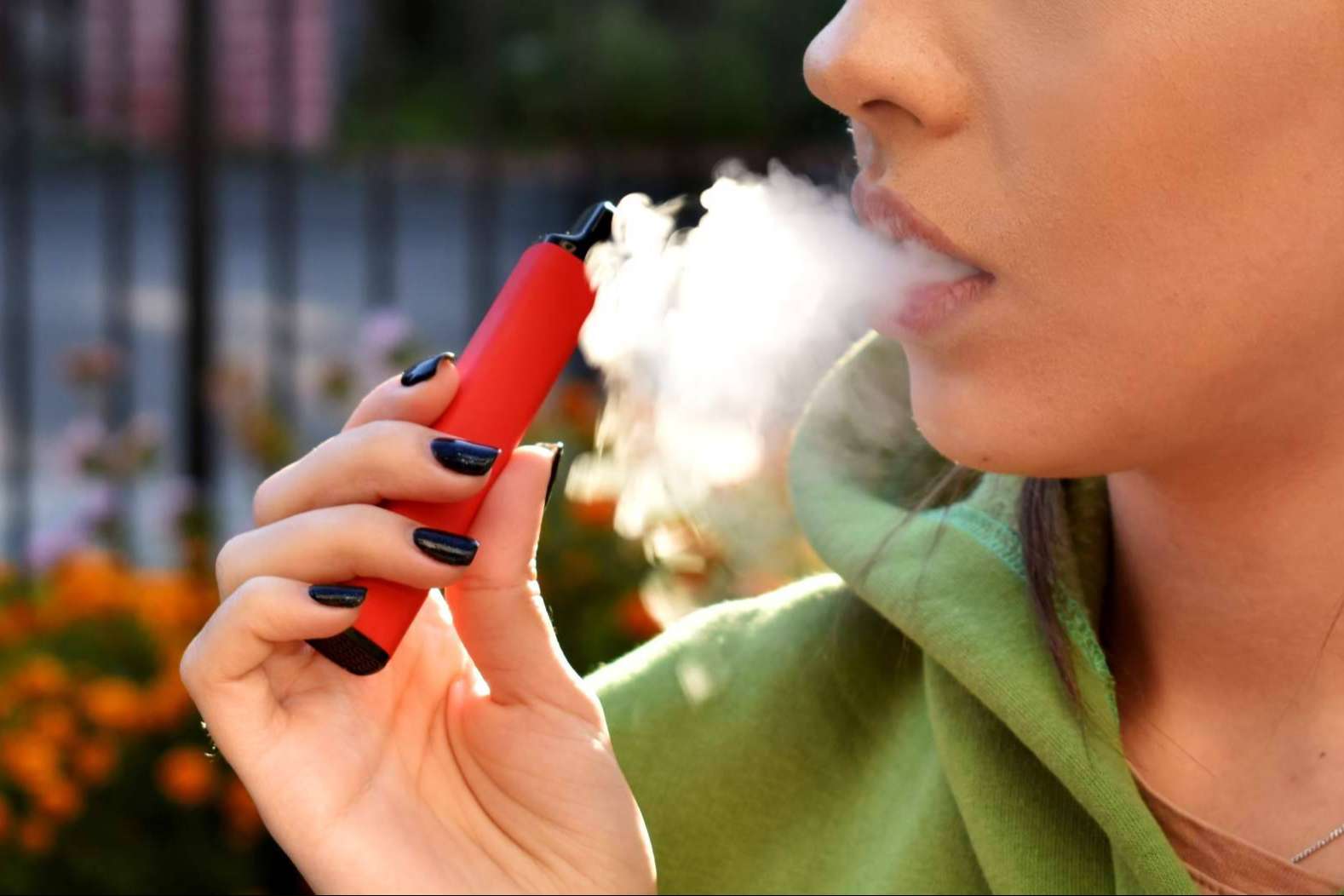 En qué consiste el catálogo de VitalCigar para vapeadores
