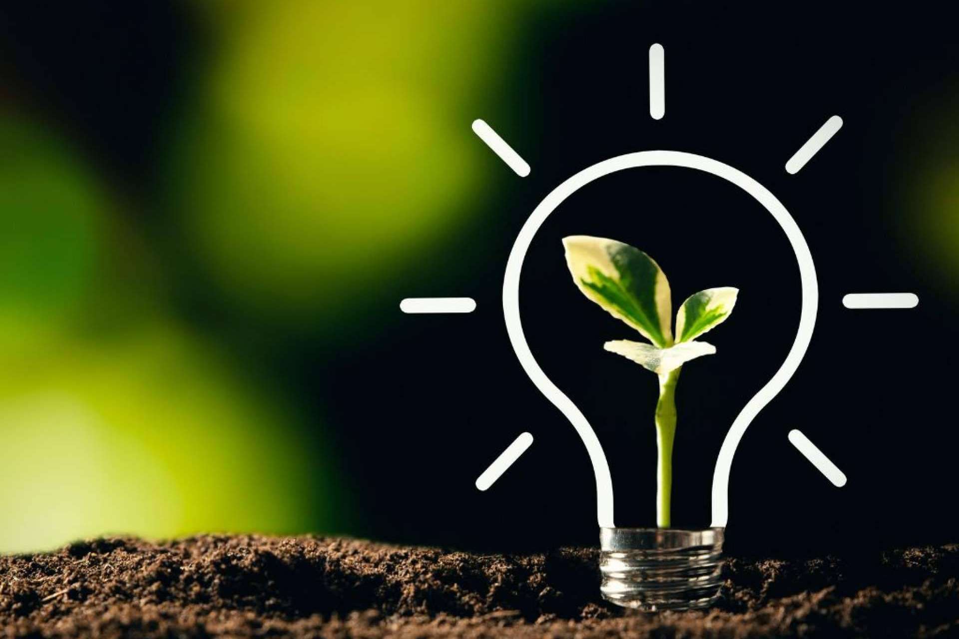 Convertir proyectos sociales latinoamericanos en empresas sociales con proyección en Europa de la mano de la ONG Share to Change