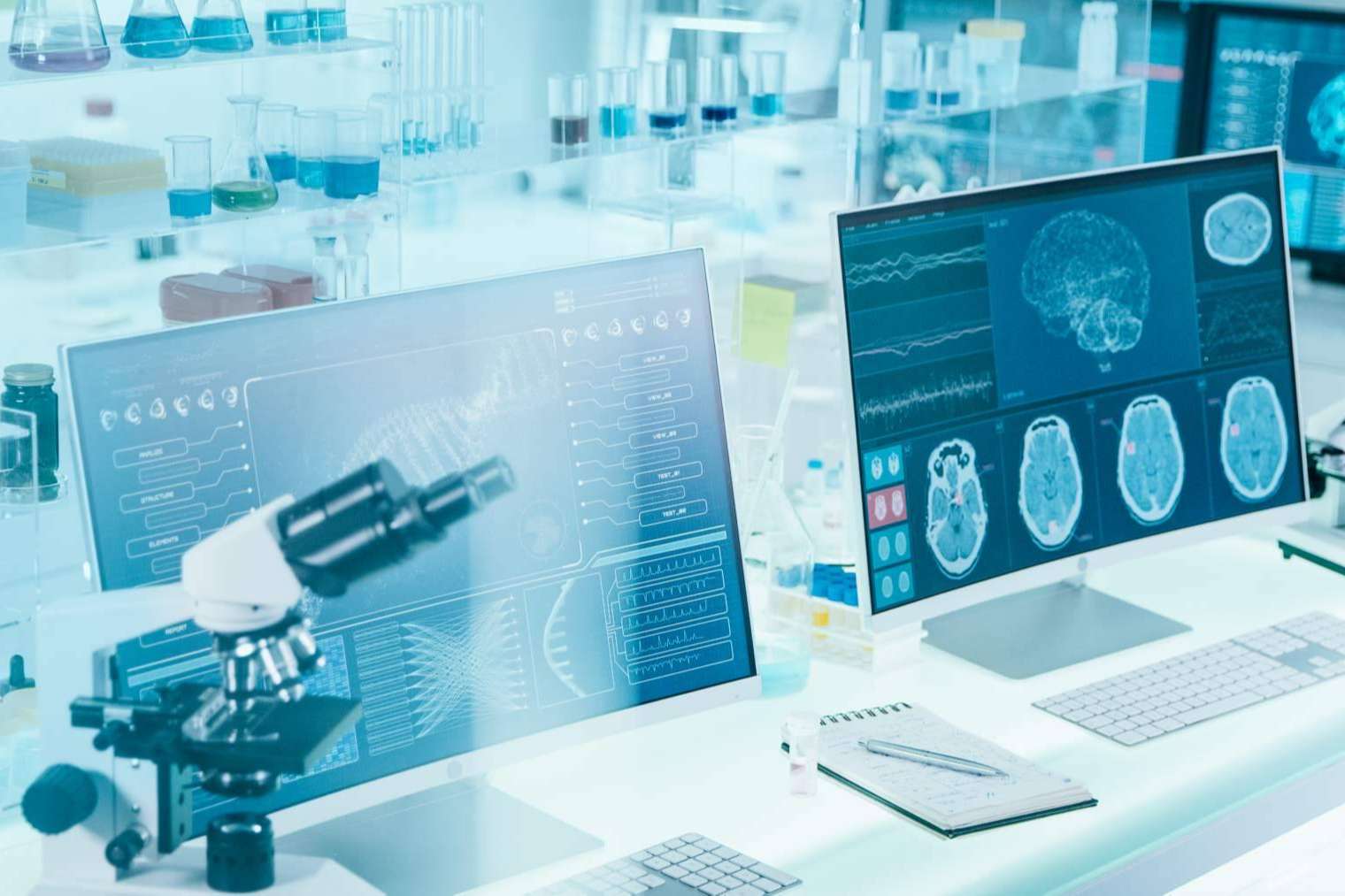 ANE International dispone del Máster en Neurociencia