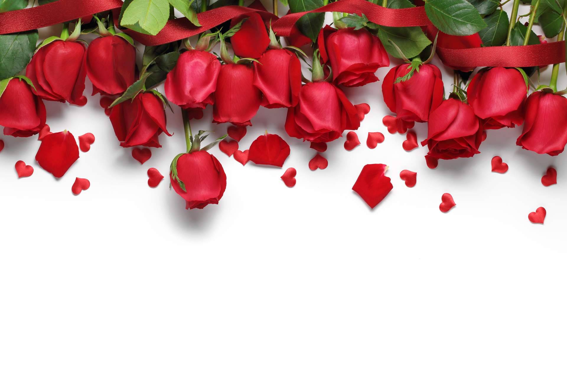 Regalar rosas amarillas y rojas con Rosistirem
