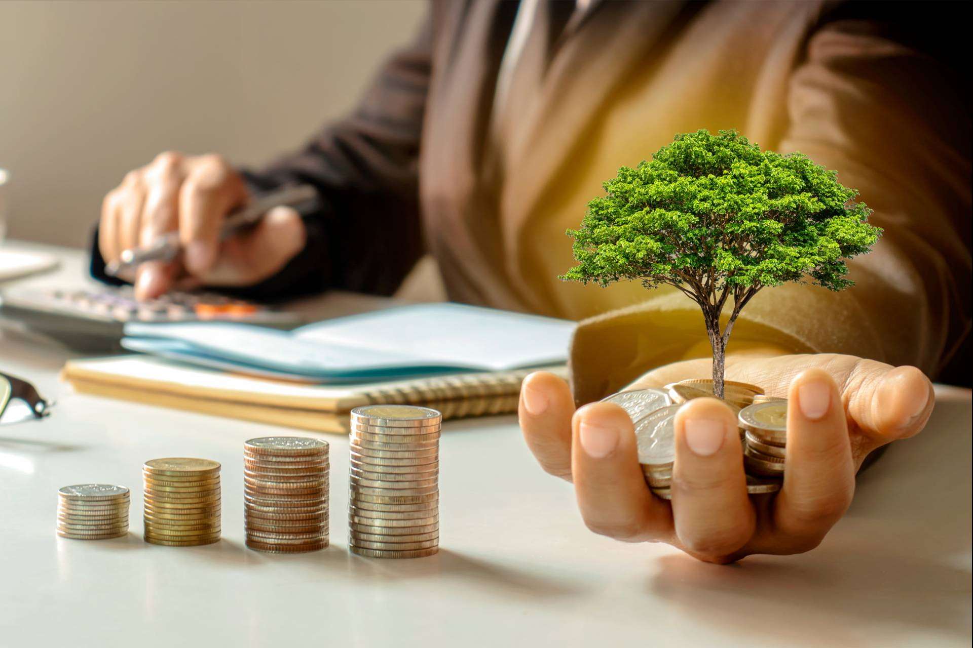 No es necesario invertir en anuncios, crear contenidos o ampliar la red comercial para aumentar ventas y beneficios, según Pixelesfera