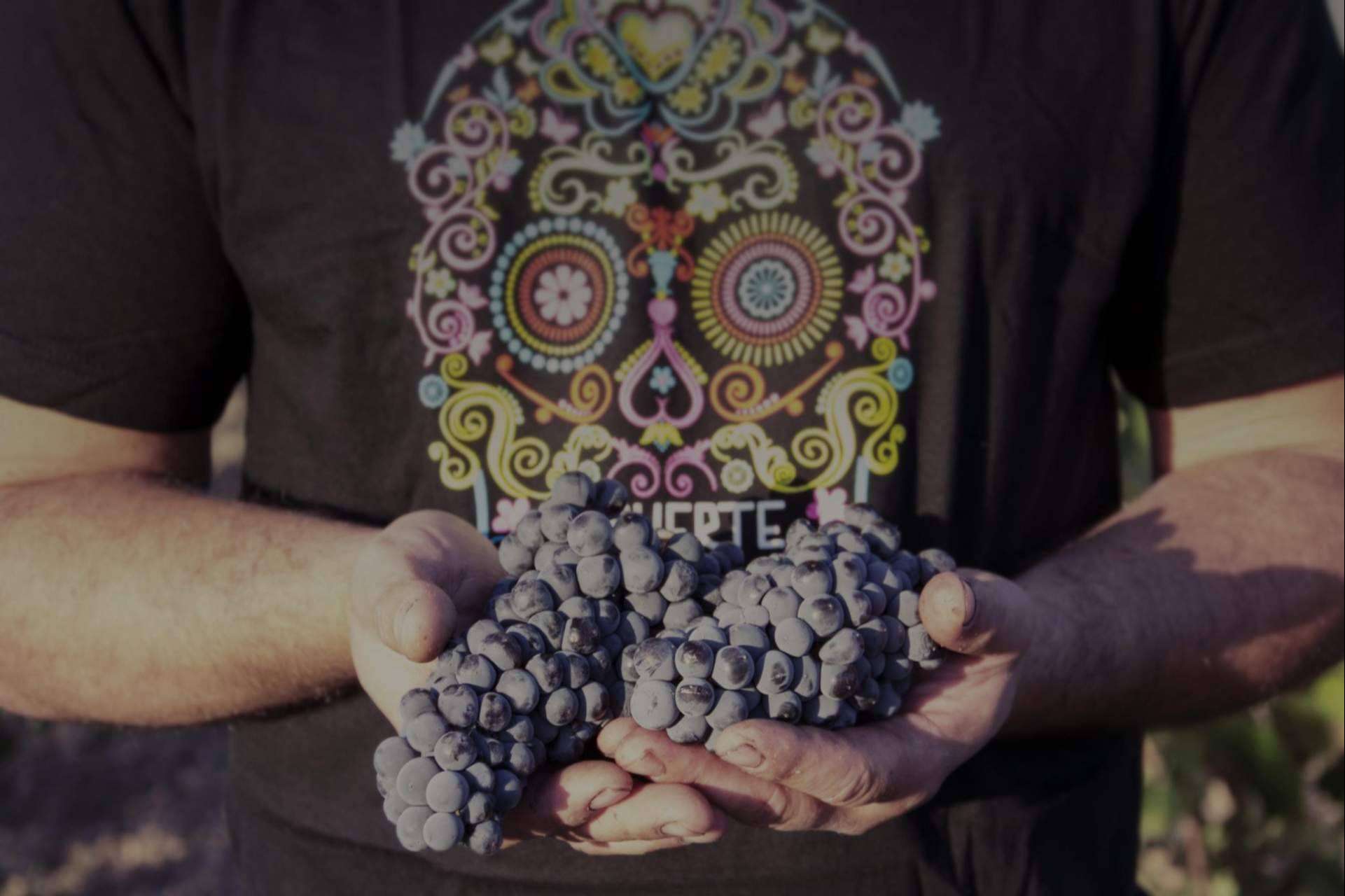 La uva Monastrell, la joya enológica de los vinos de DEMUERTE WINES