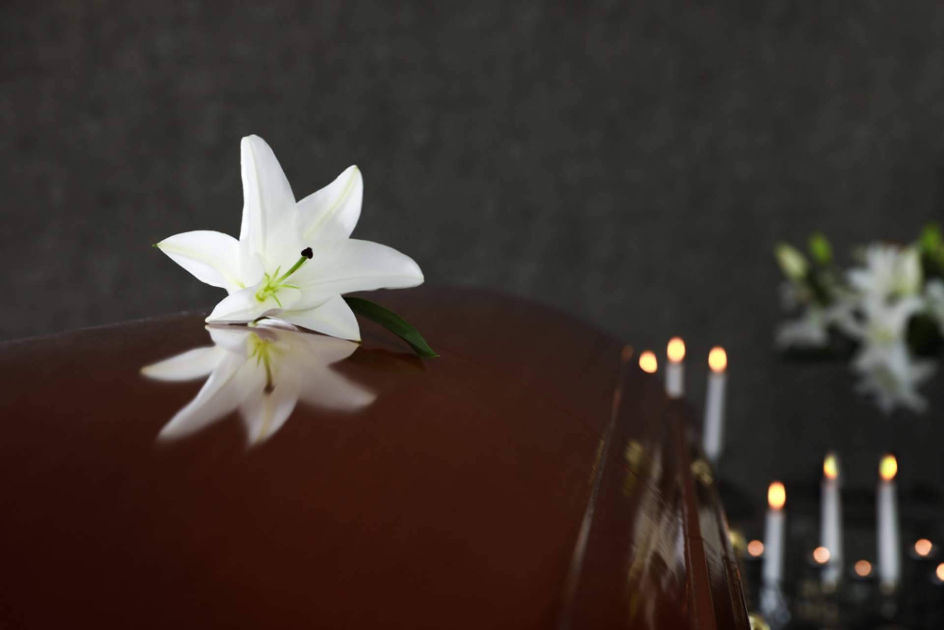 La evolución tecnológica en el sector funerario; un análisis de las empresas por Gesmemori