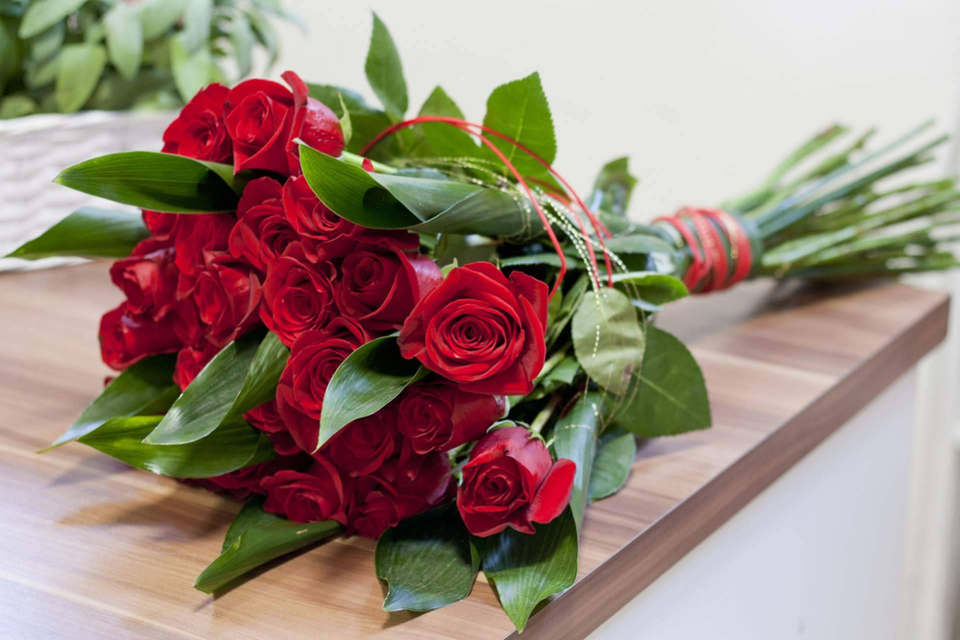 Los distintos tipos de rosas y su significado, con Rosistirem
