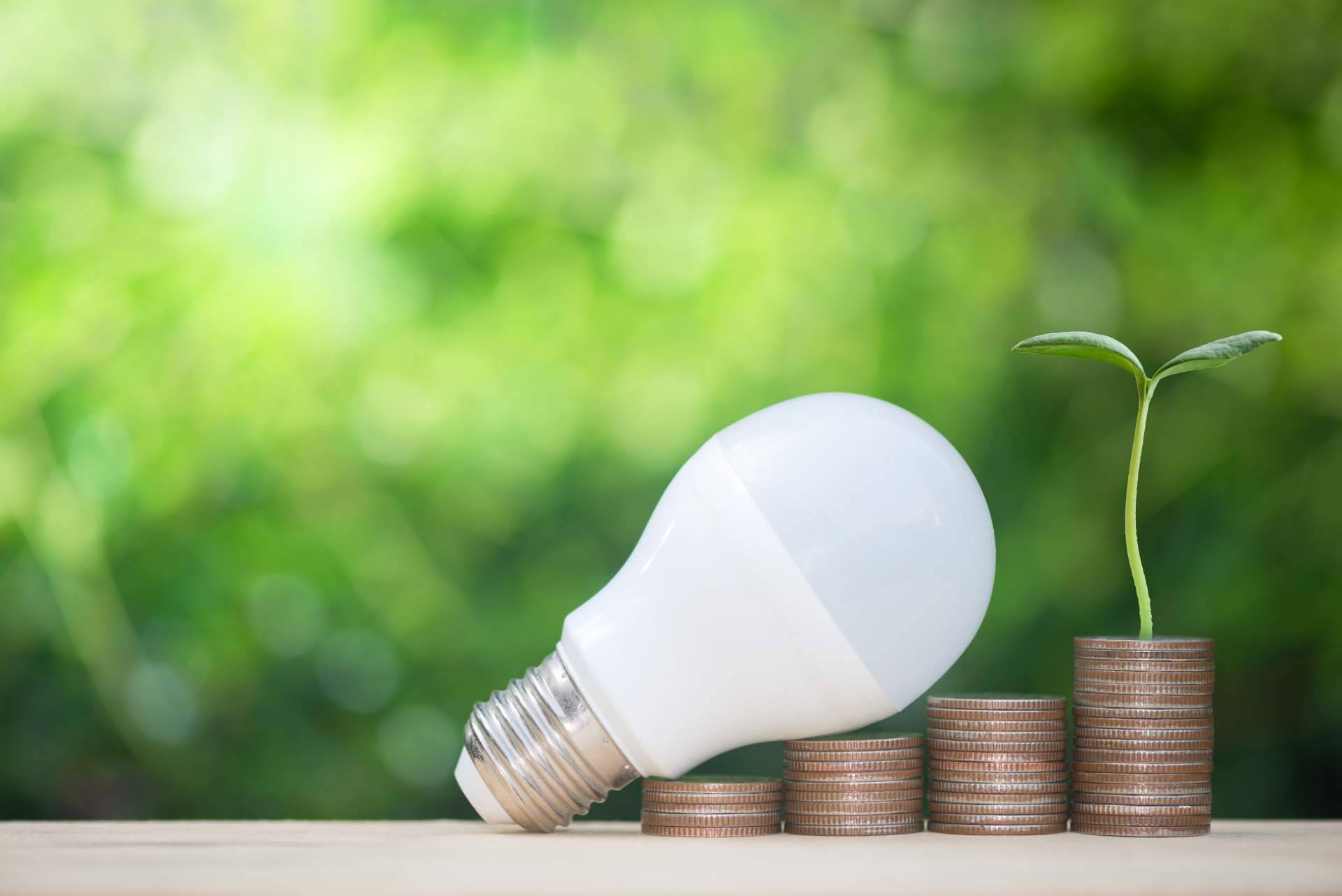 La importancia de las energías renovables en el Día Mundial del Ahorro de Energía