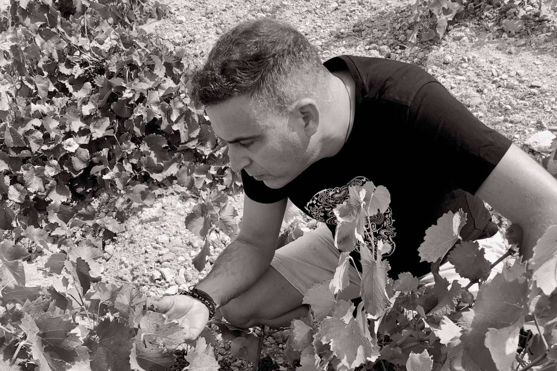 DEMUERTE WINES y la esencia de la uva Monastrell