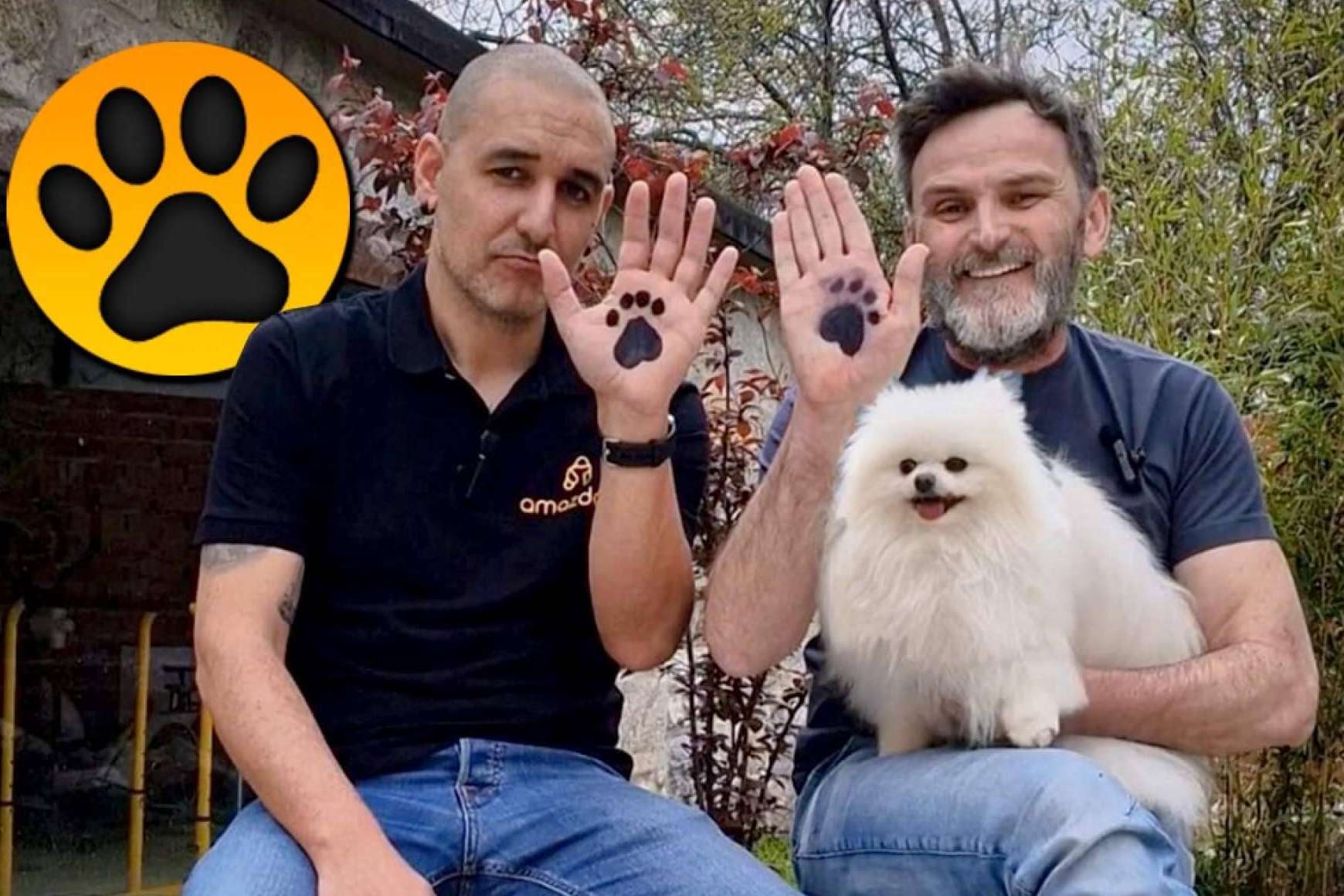 Amazdog lanza el Reto Dogchallenge