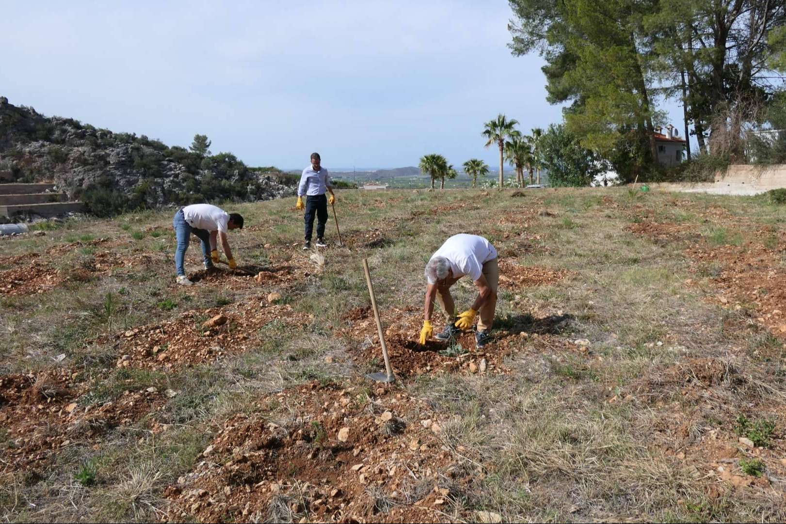 El 9º bosque del programa 'Juega tu papel' llega a Alicante