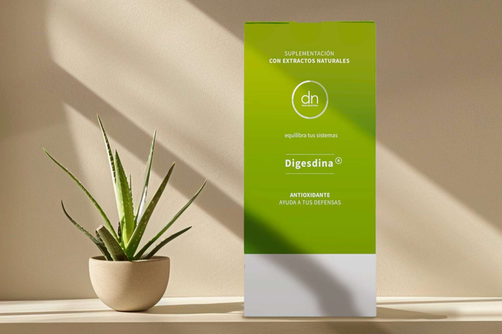Direct Nutrition ofrece suplementos con digesdina, un elemento eficaz para mejorar la función digestiva