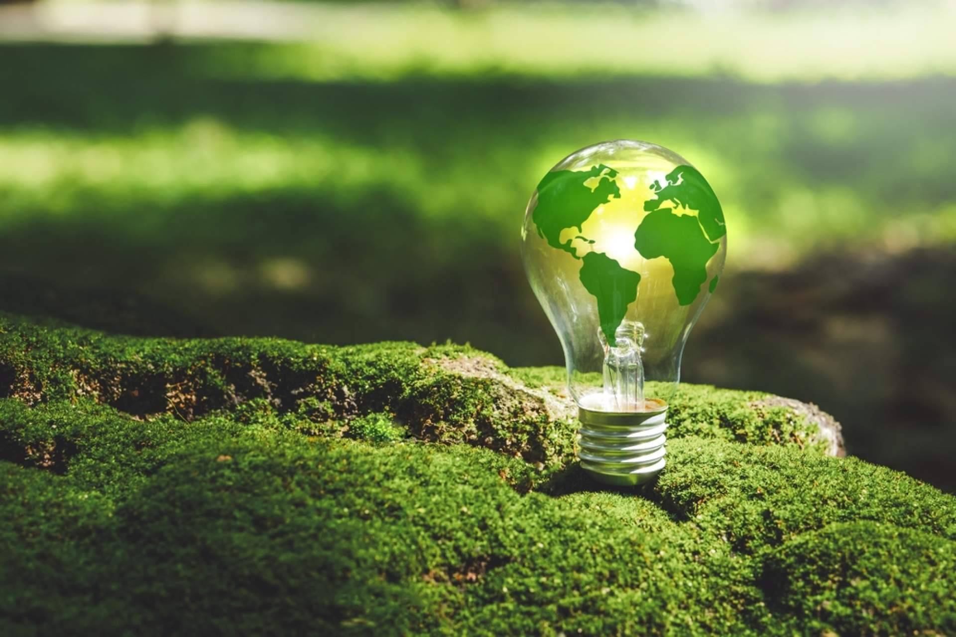 Beneficios del carburante verde gracias a un aditivo de Eco Carburante Motor