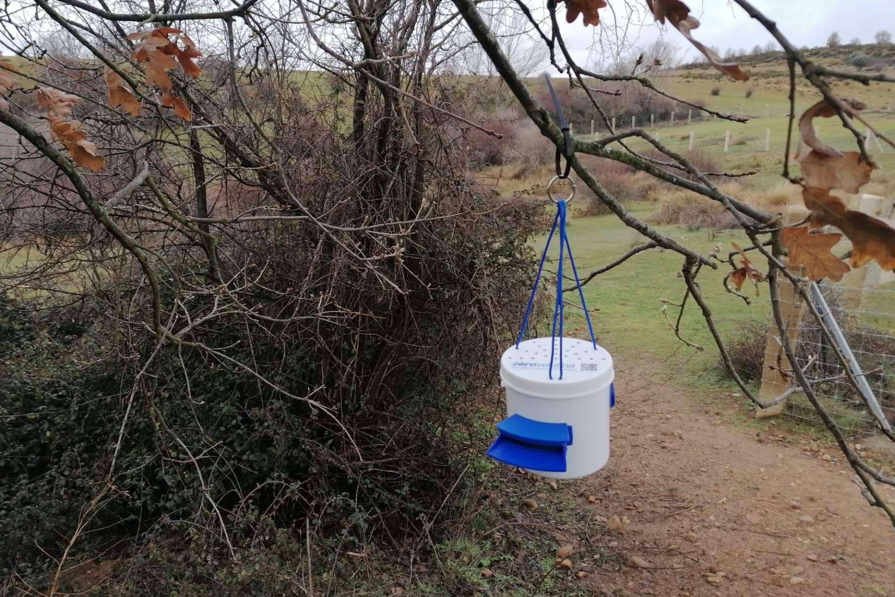 Con ZeroVelutina es posible enviar un Caballo de Troya a cada nido de avispas velutinas