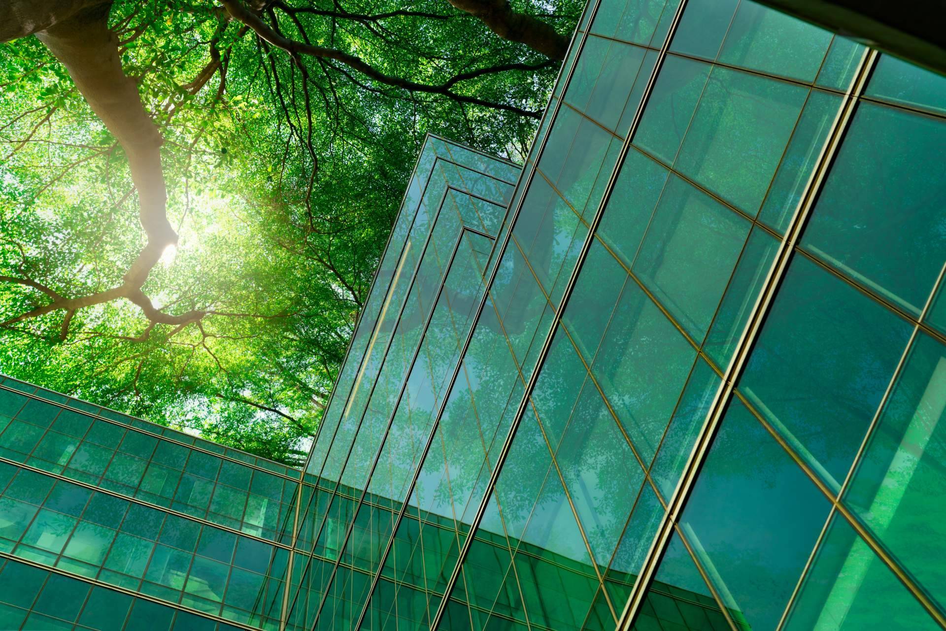 La apuesta de Multienergía Verde por la ecoeficiencia