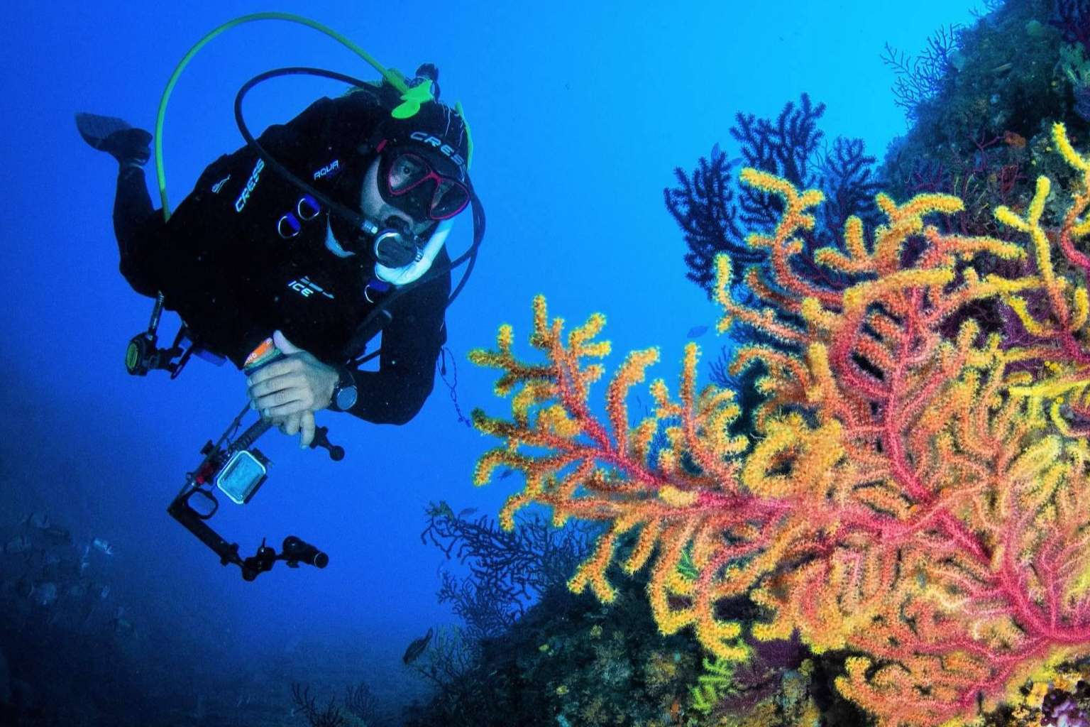 Curso instructor de buceo PADI, con la dirección de Miguel Coll