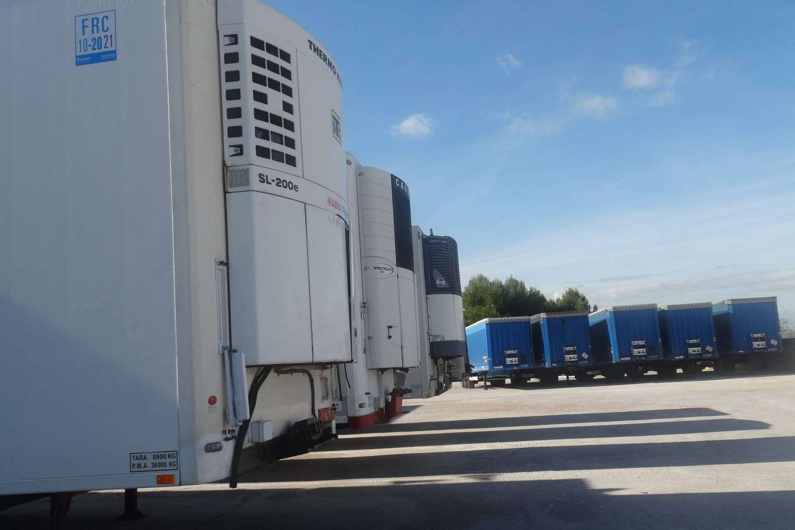 Alicotrans es una cooperativa busca reducir la cadena de transporte y mejorar las ganancias