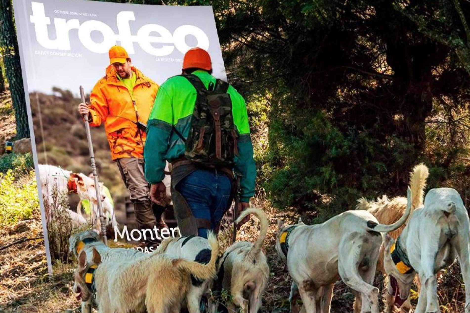 Cómo cuidar los perros de caza de cara a la nueva temporada, por Trofeo Caza
