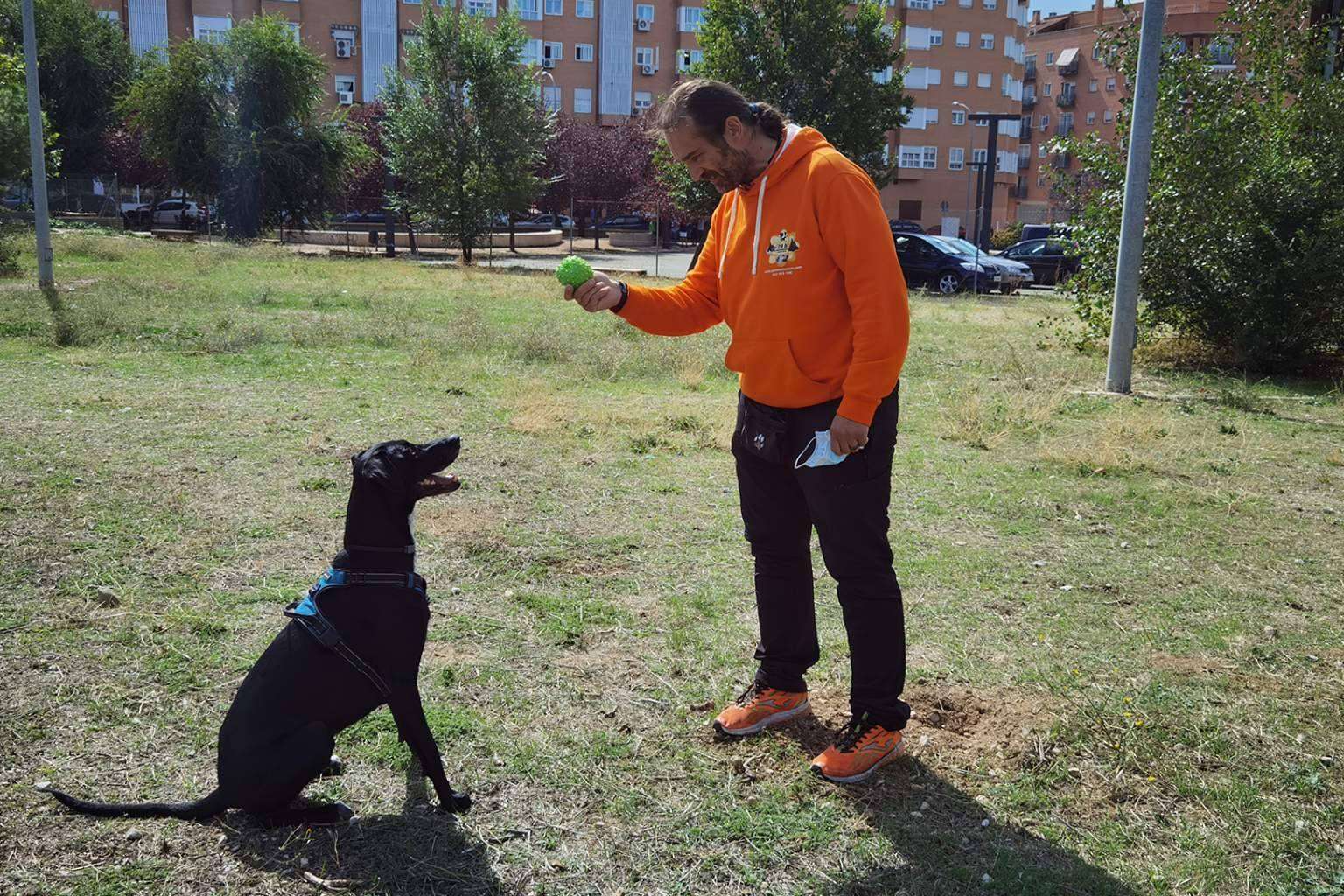 En 'ParaMascotas' creen que el peludo merece ser el más feliz del mundo