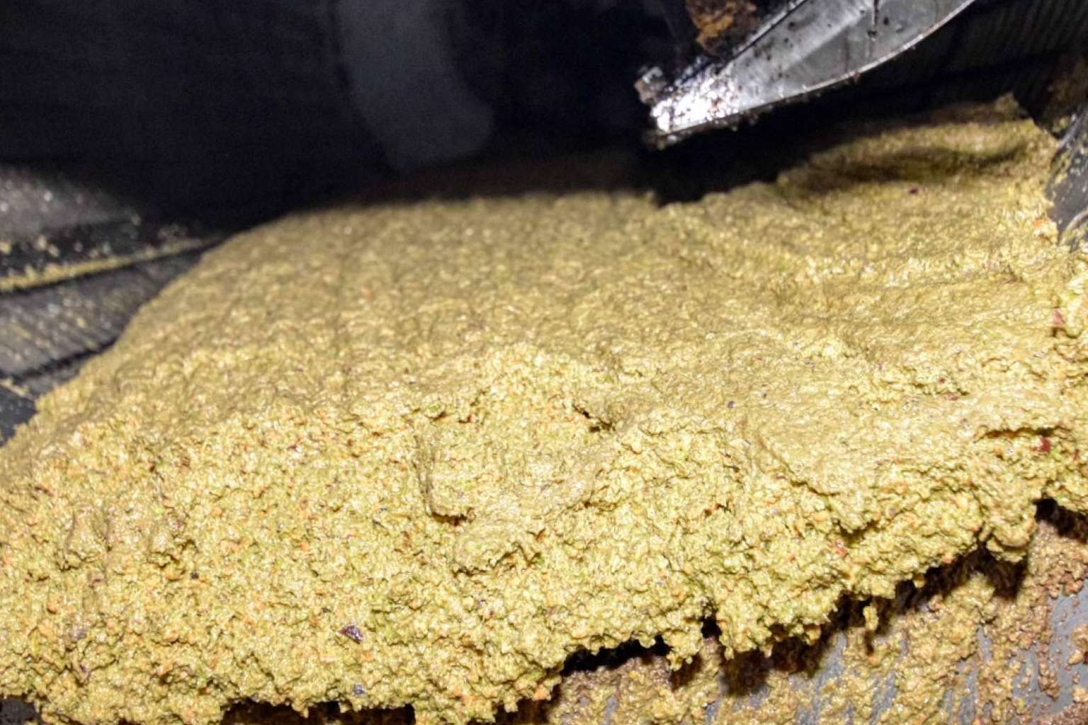 Principales diferencias entre el aceite de oliva sin filtrar y el filtrado, por Tercio de las Torres