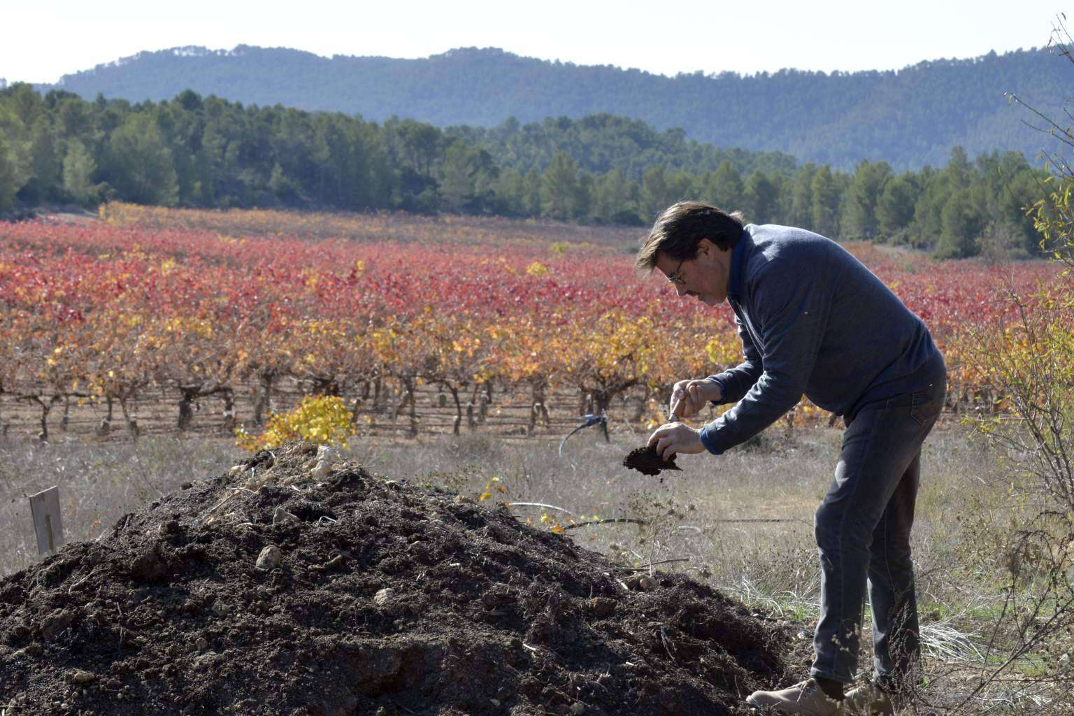 Bodegas Vegalfaro; vinos ecológicos de alta calidad desde el corazón de Valencia