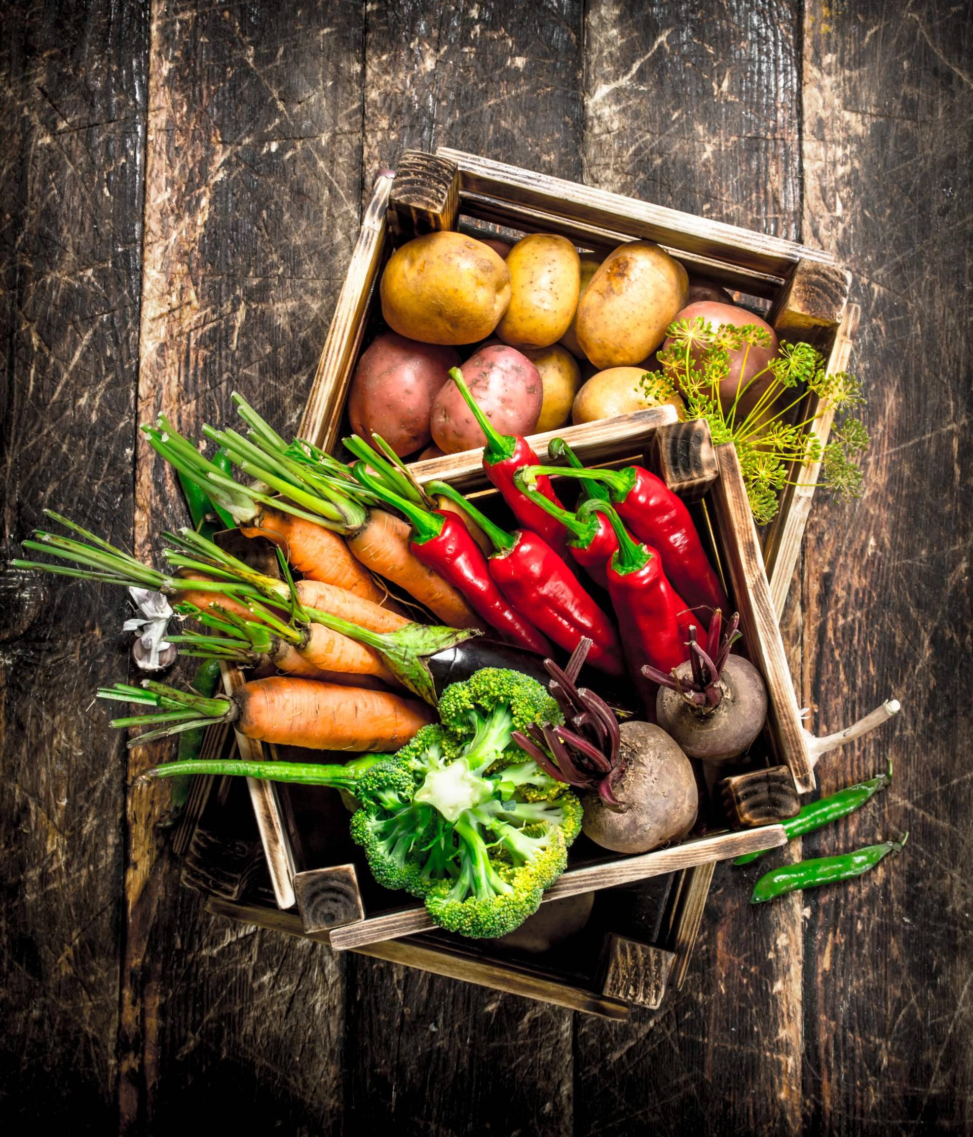 JGC Market ofrece una plataforma de marketplace para agricultores