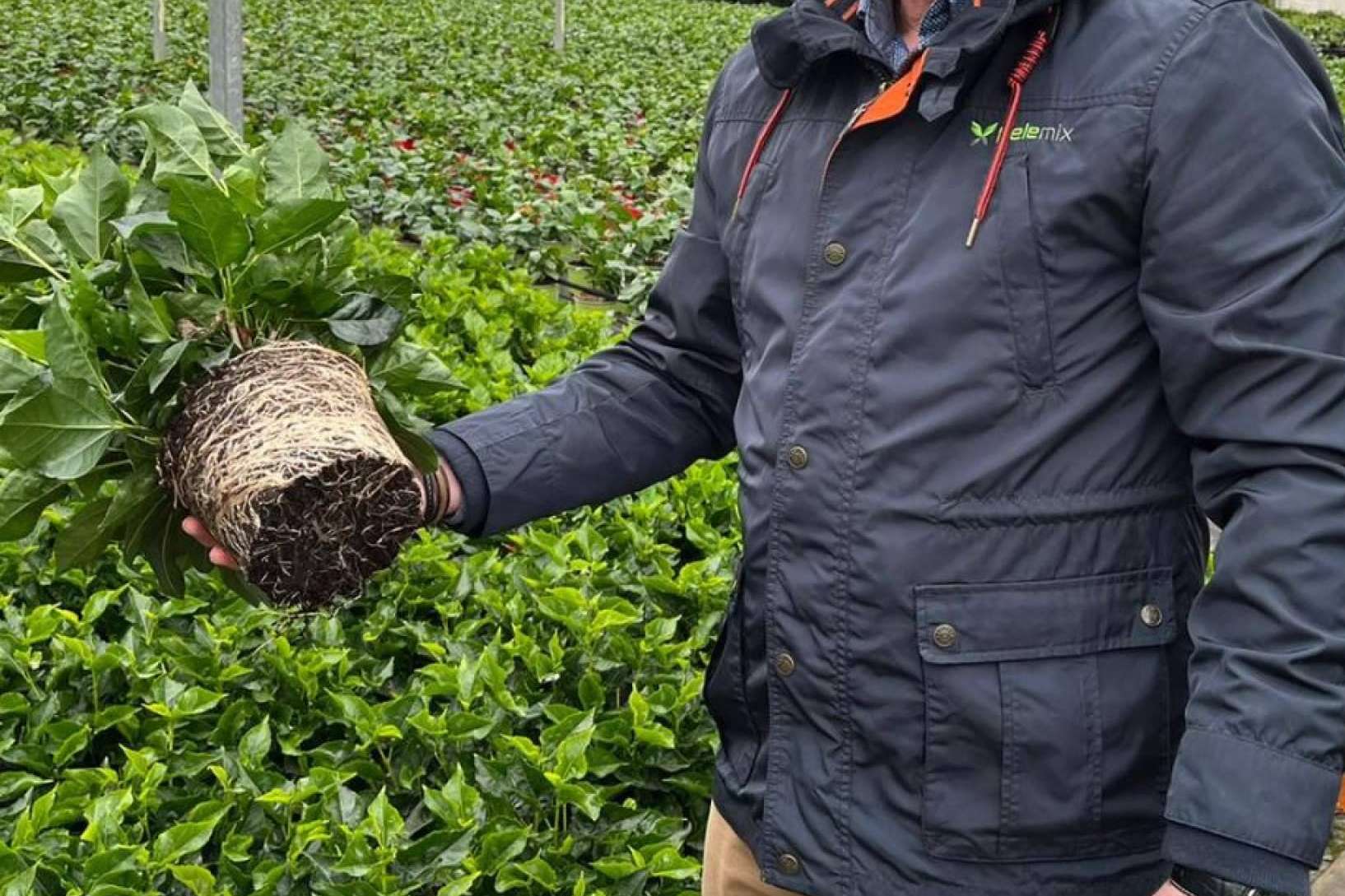 Viveros 2024, soluciones de Pelemix para semilleros productivos