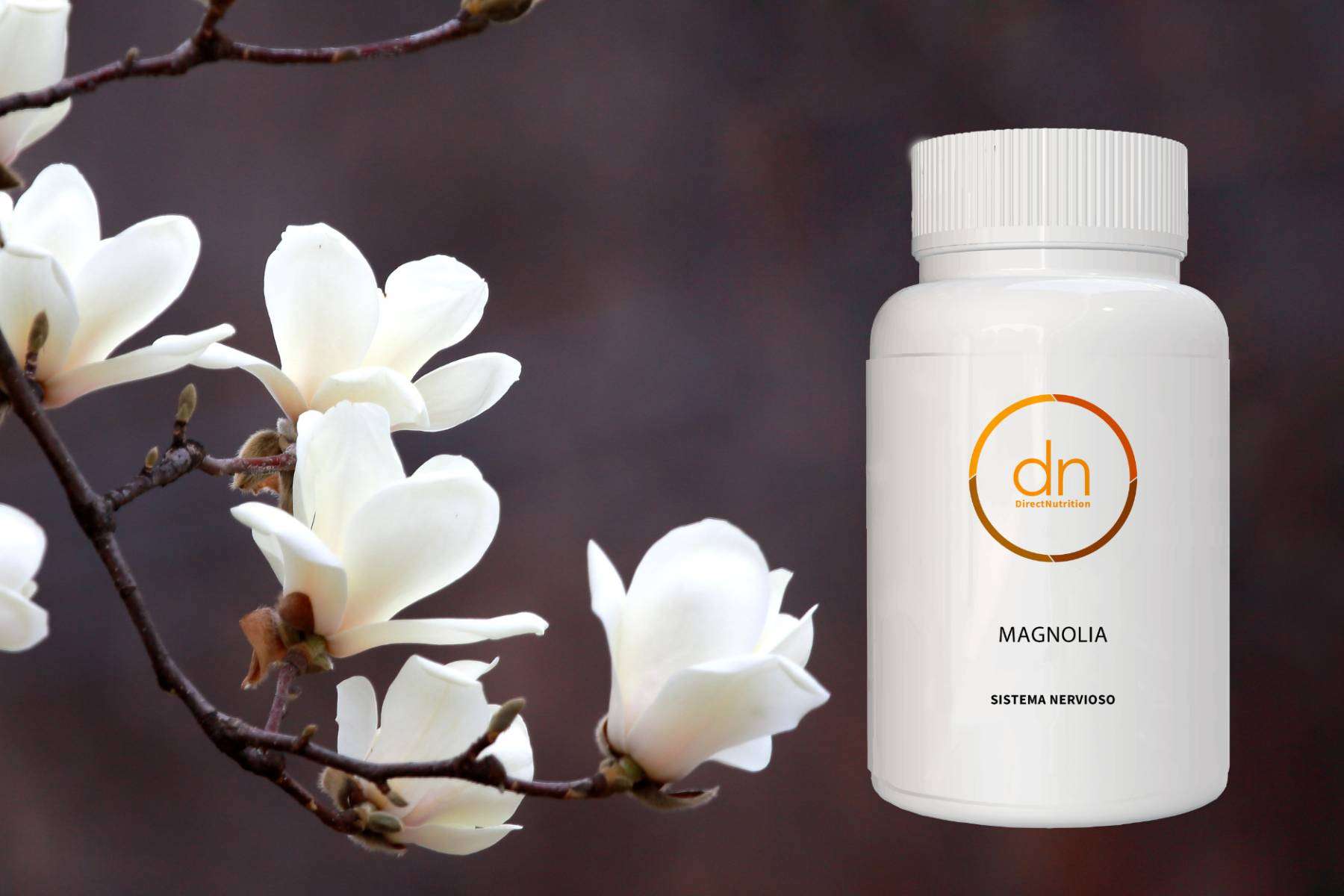 La magnolia y sus beneficios; bienestar integral en cada cápsula de Direct Nutrition