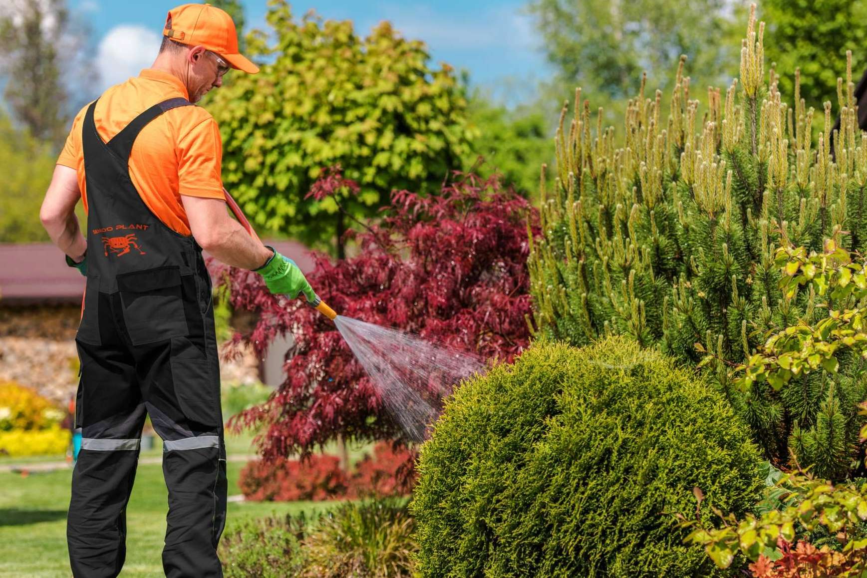 Jardinería profesional en Barcelona y provincia