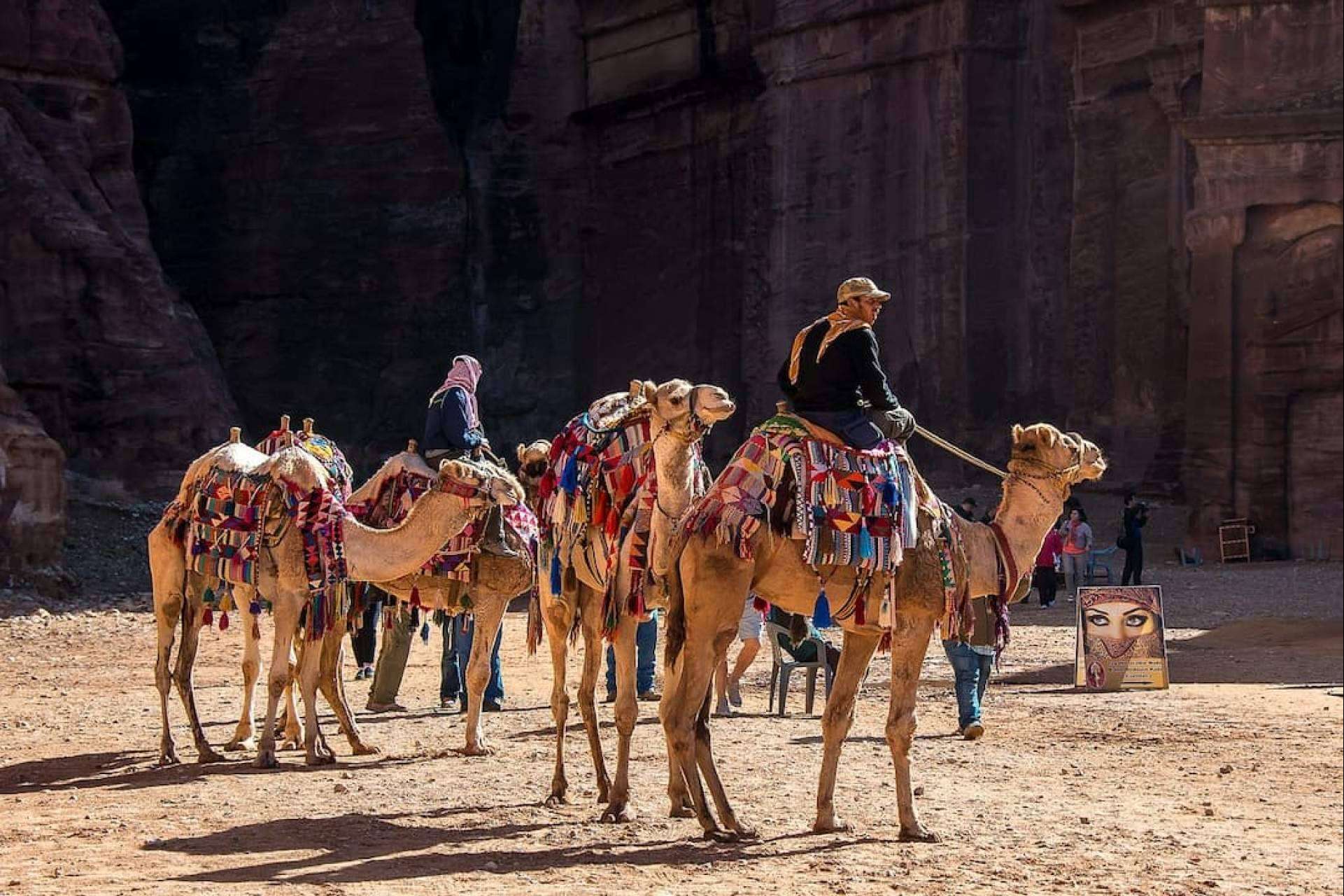 Nace el primer curso sobre turismo responsable con los animales para profesionales del sector