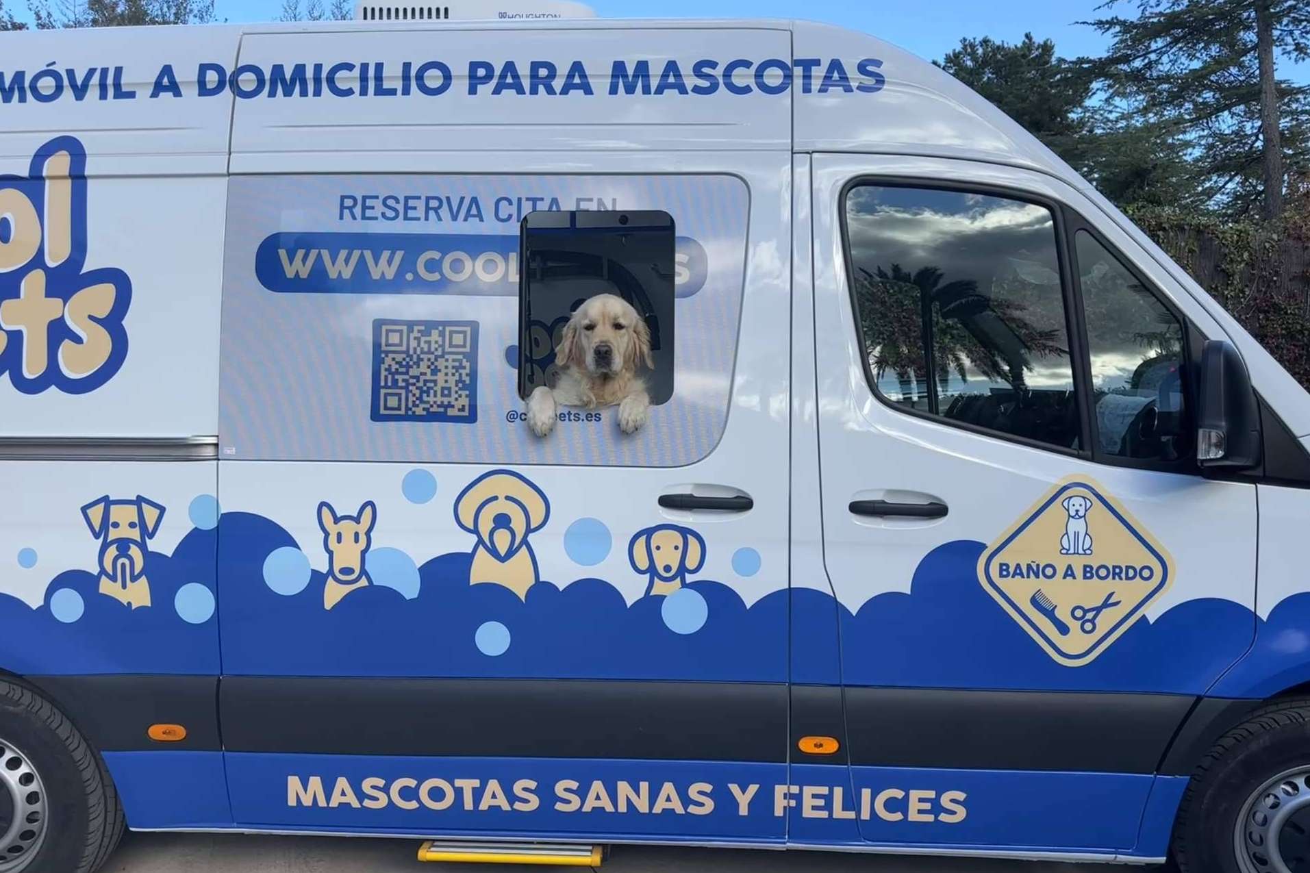 Llega a España un innovador servicio de peluquería móvil a domicilio para mascotas