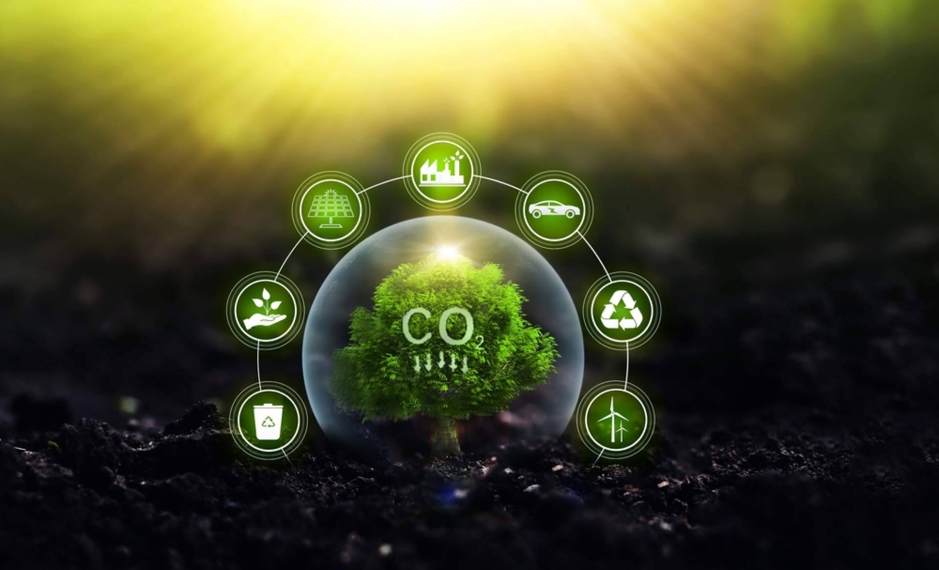 Reducir el impacto ambiental, turismo sostenible y huella de carbono
