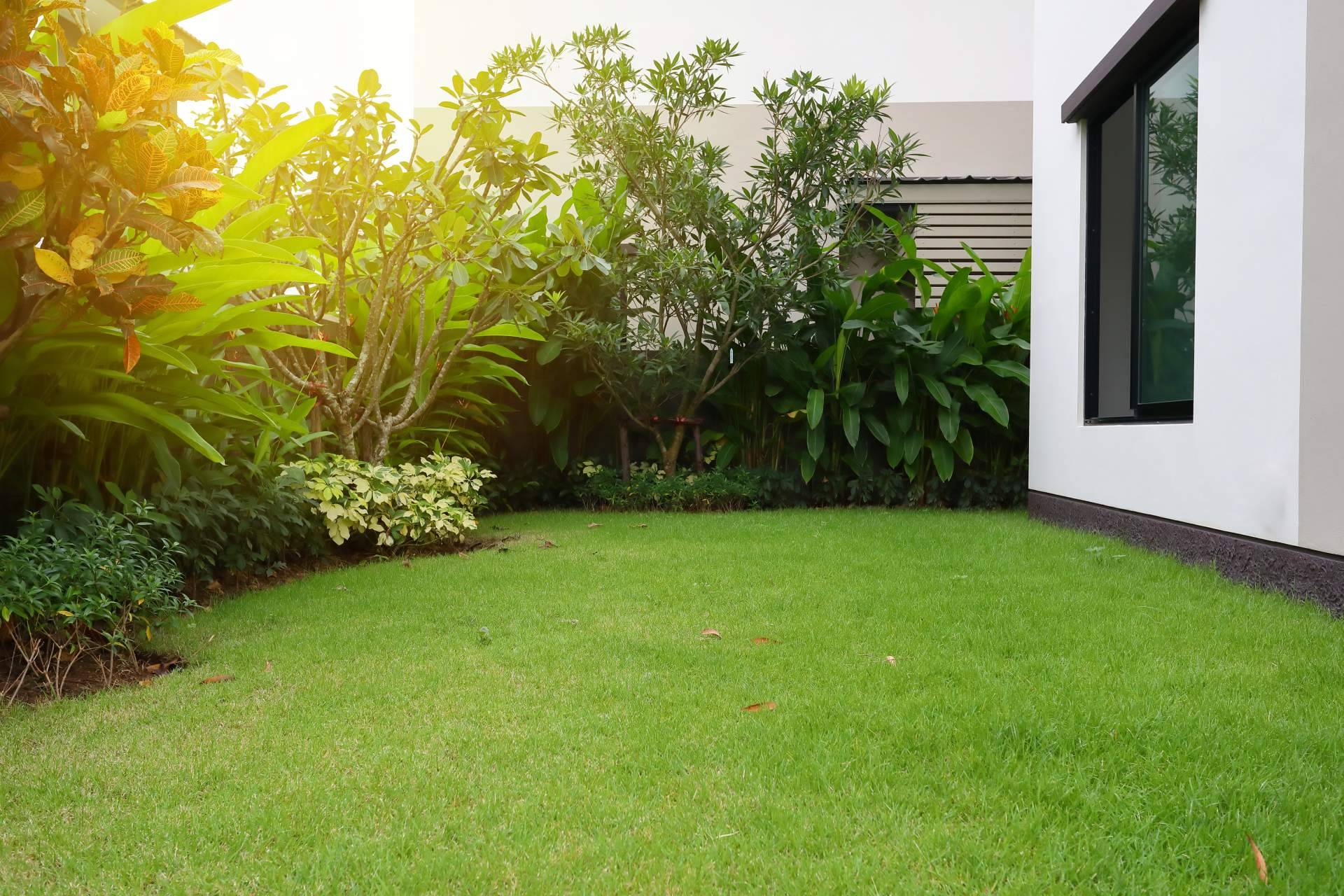 ¿Cansa un jardín descuidado? Aprender cómo transformarlo fácilmente