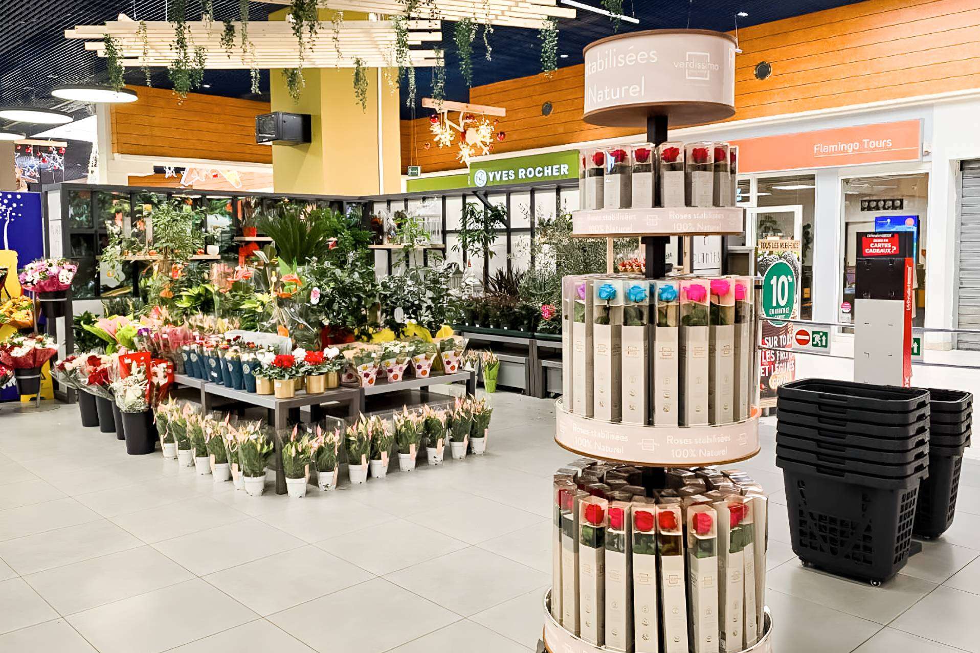 Verdissimo Lanza un Display Innovador para Transformar el Mercado de Rosas Preservadas